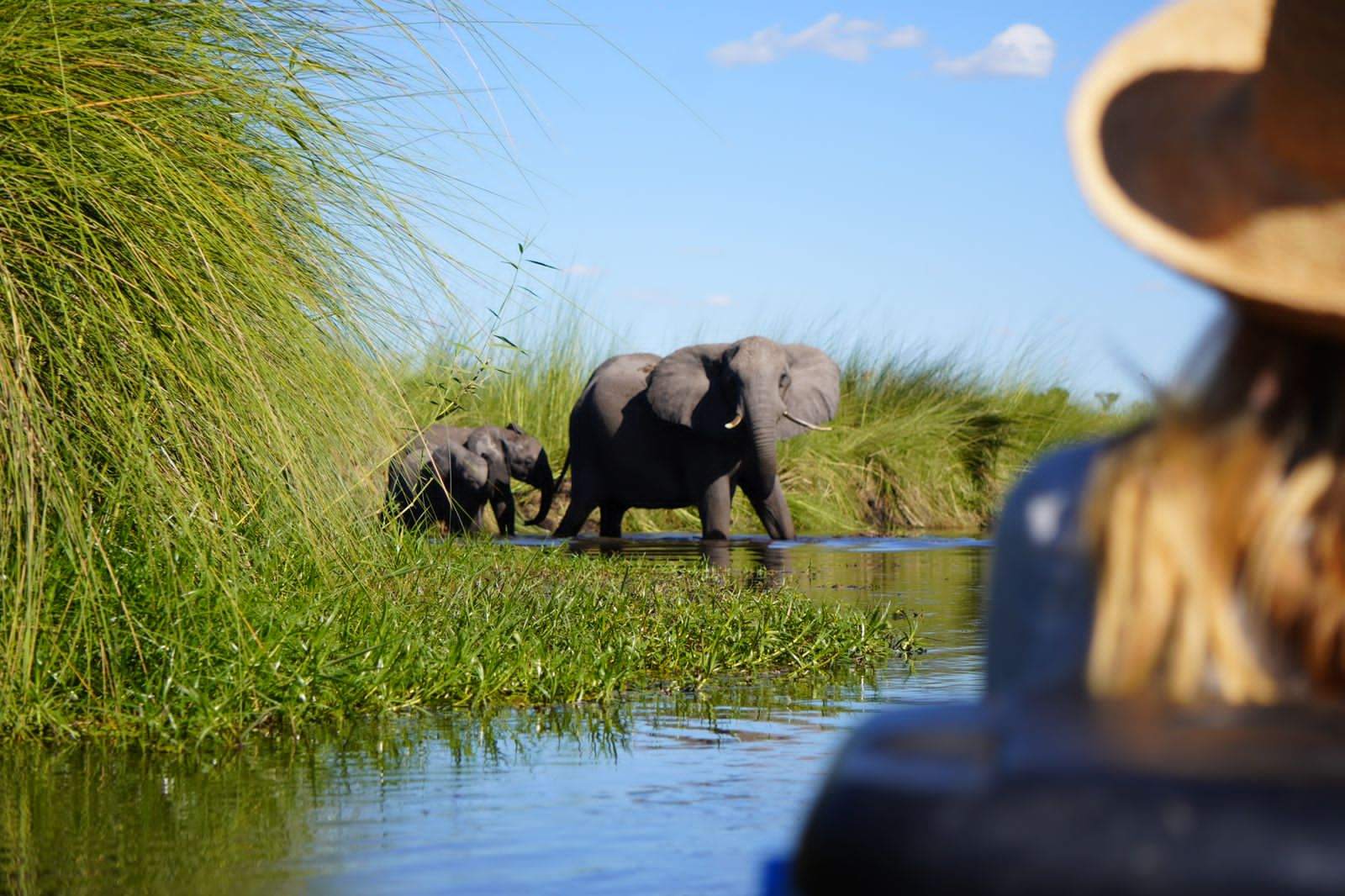 Die Drei Flüsse Safari - Okavango, Chobe und Zambezi in Lodges