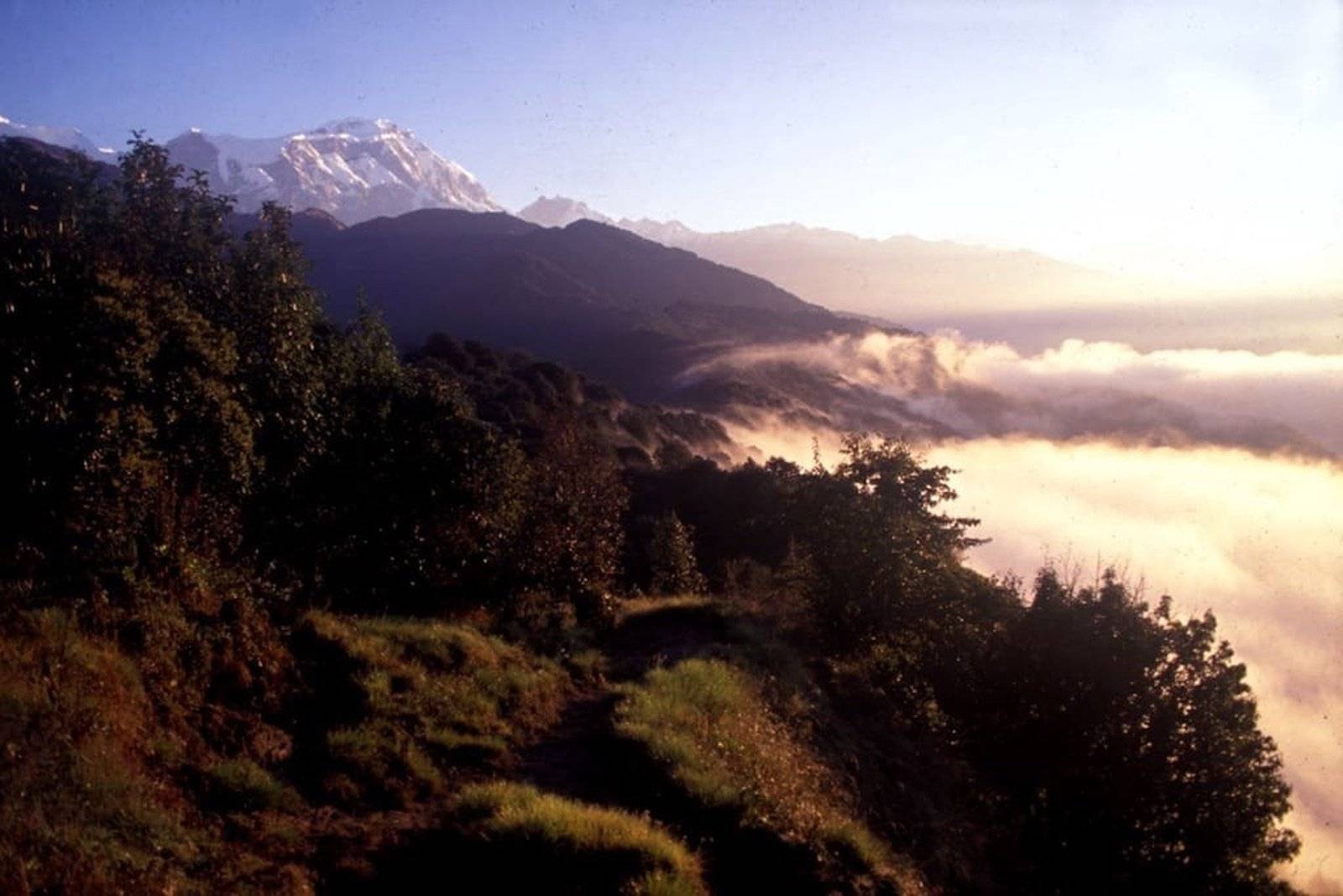De l'Himalaya aux Communautés Locales