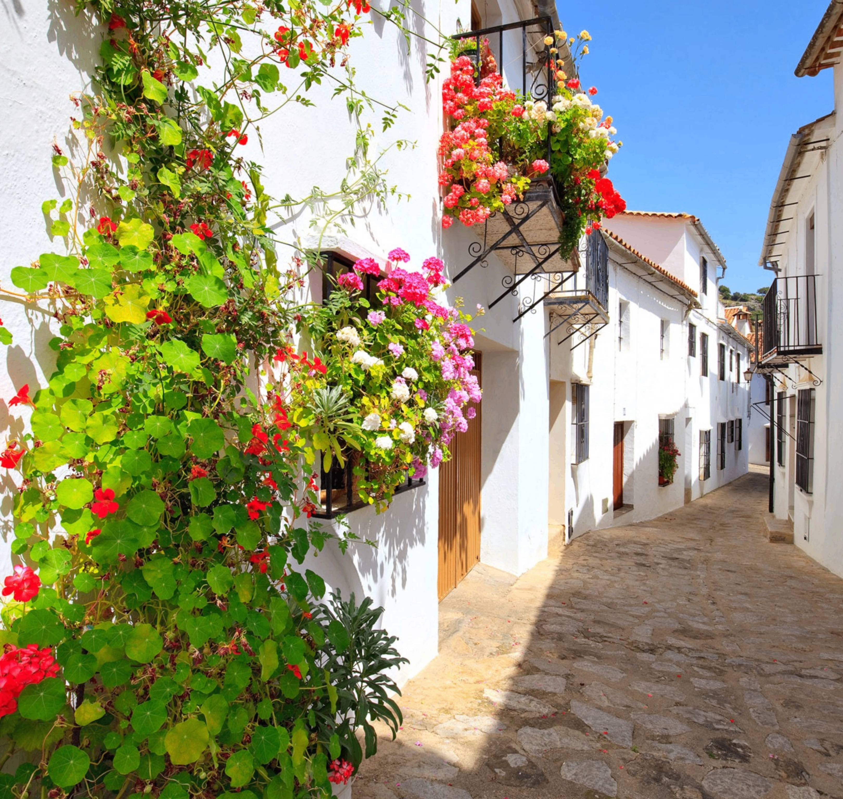 Séville et les villages blancs de l'Andalousie