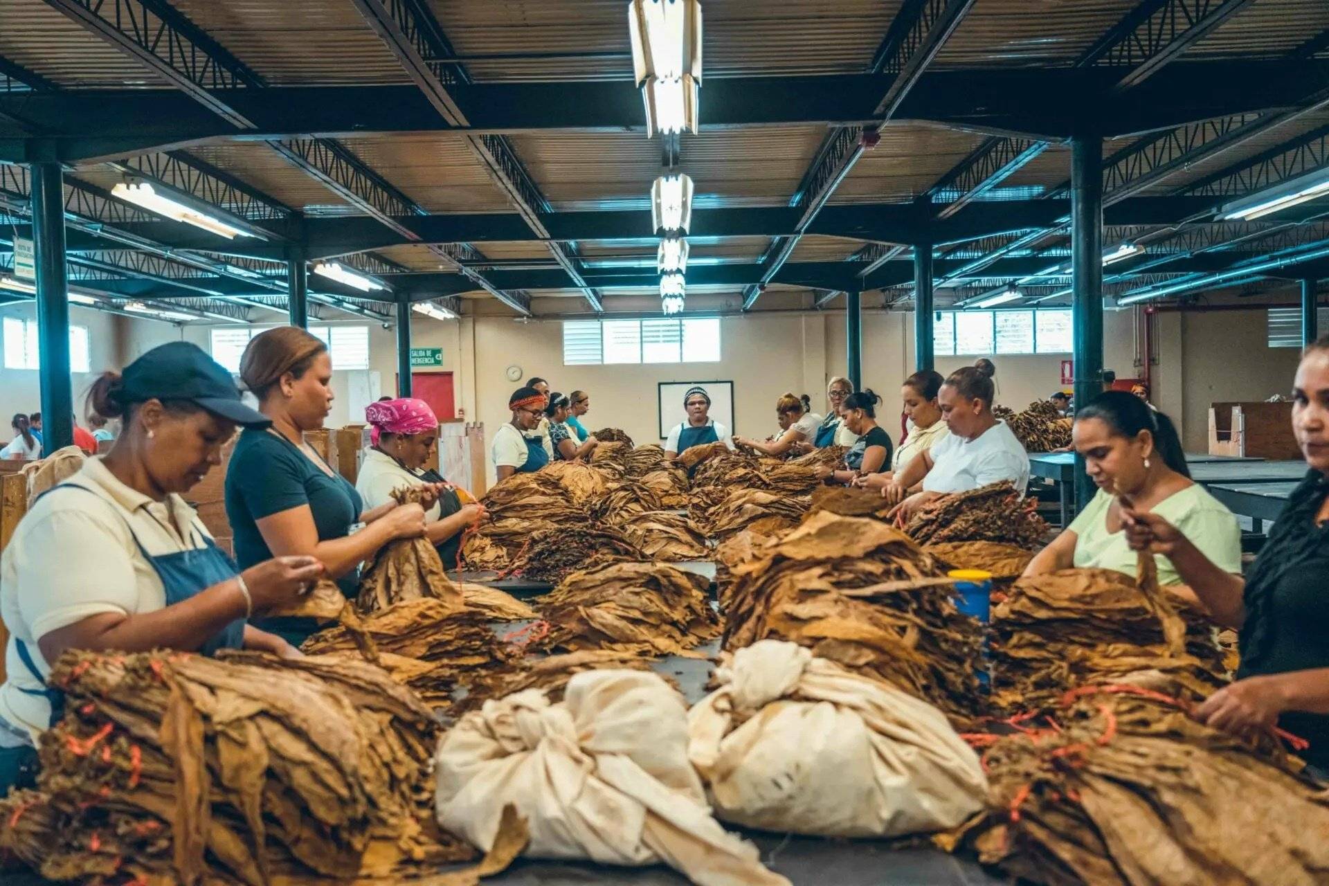 Rhum, cigares et cacao : culture et art de vivre à la dominicaine