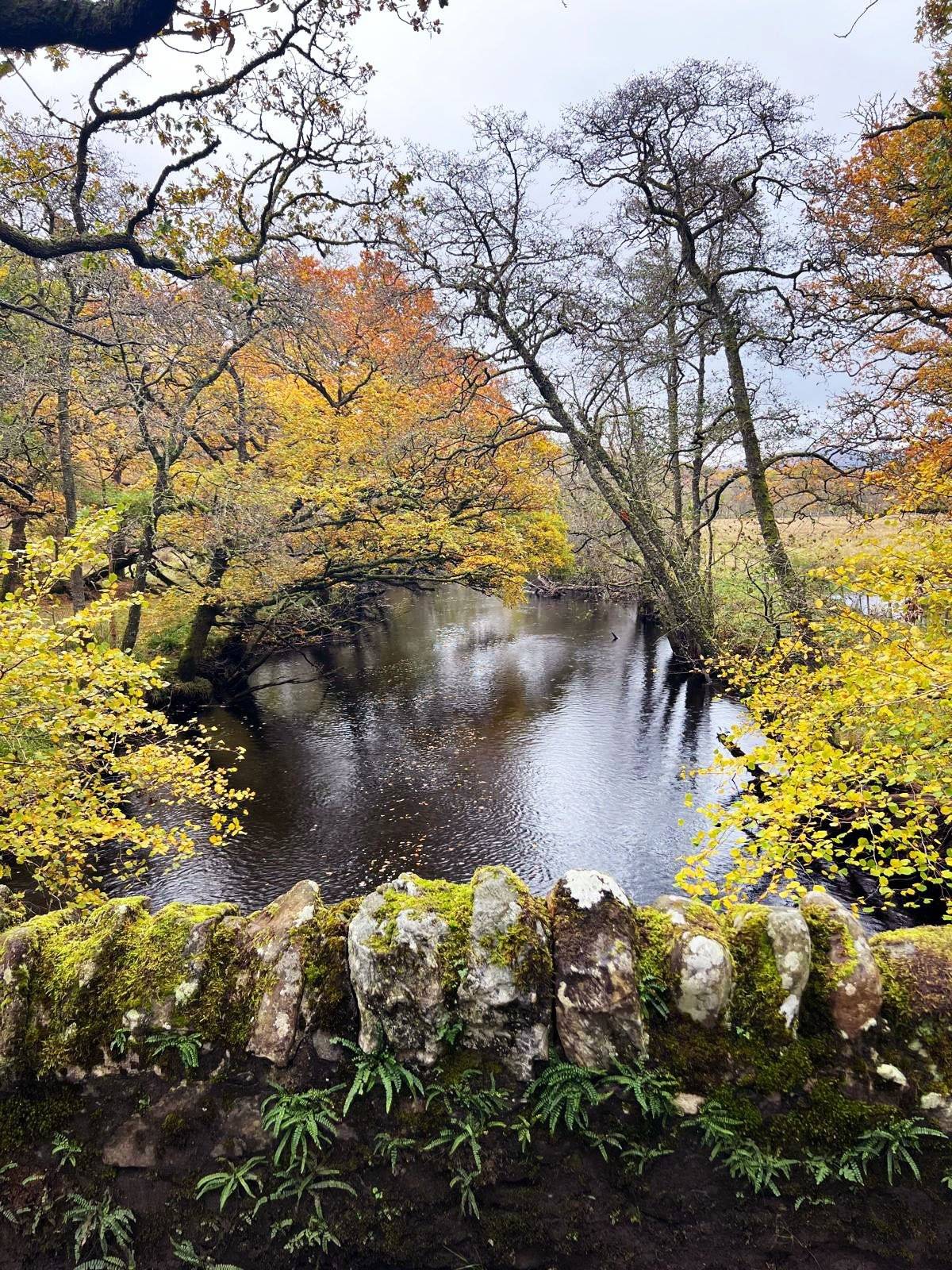 Scozia d’Autunno: Magia, Foliage e Arcobaleni!