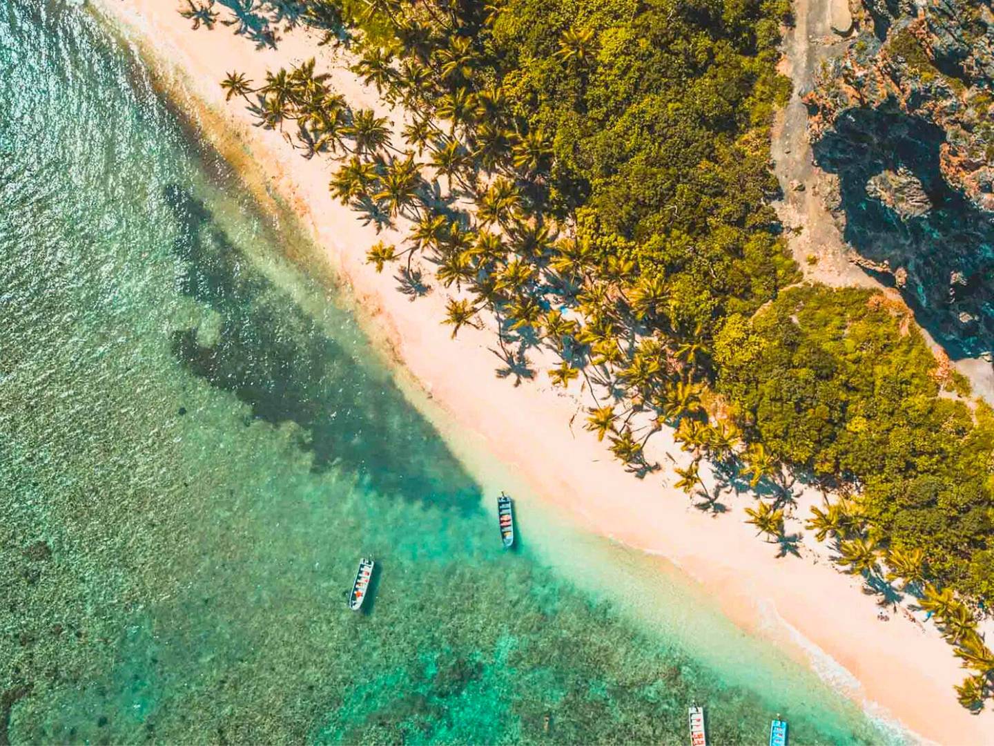 Immersion exceptionnelle dans les plus beaux trésors de l'île