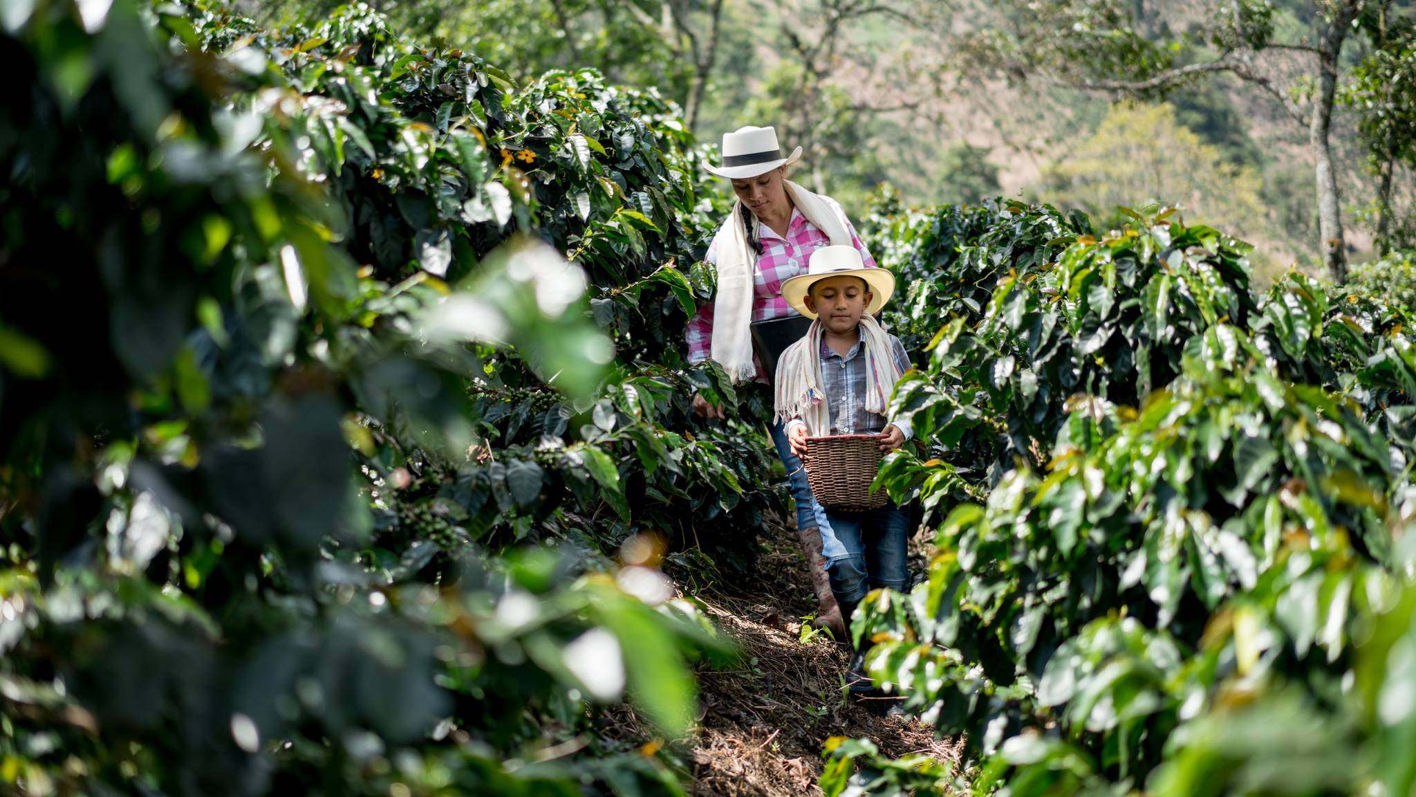 Immersion dans la vraie Colombie en famille