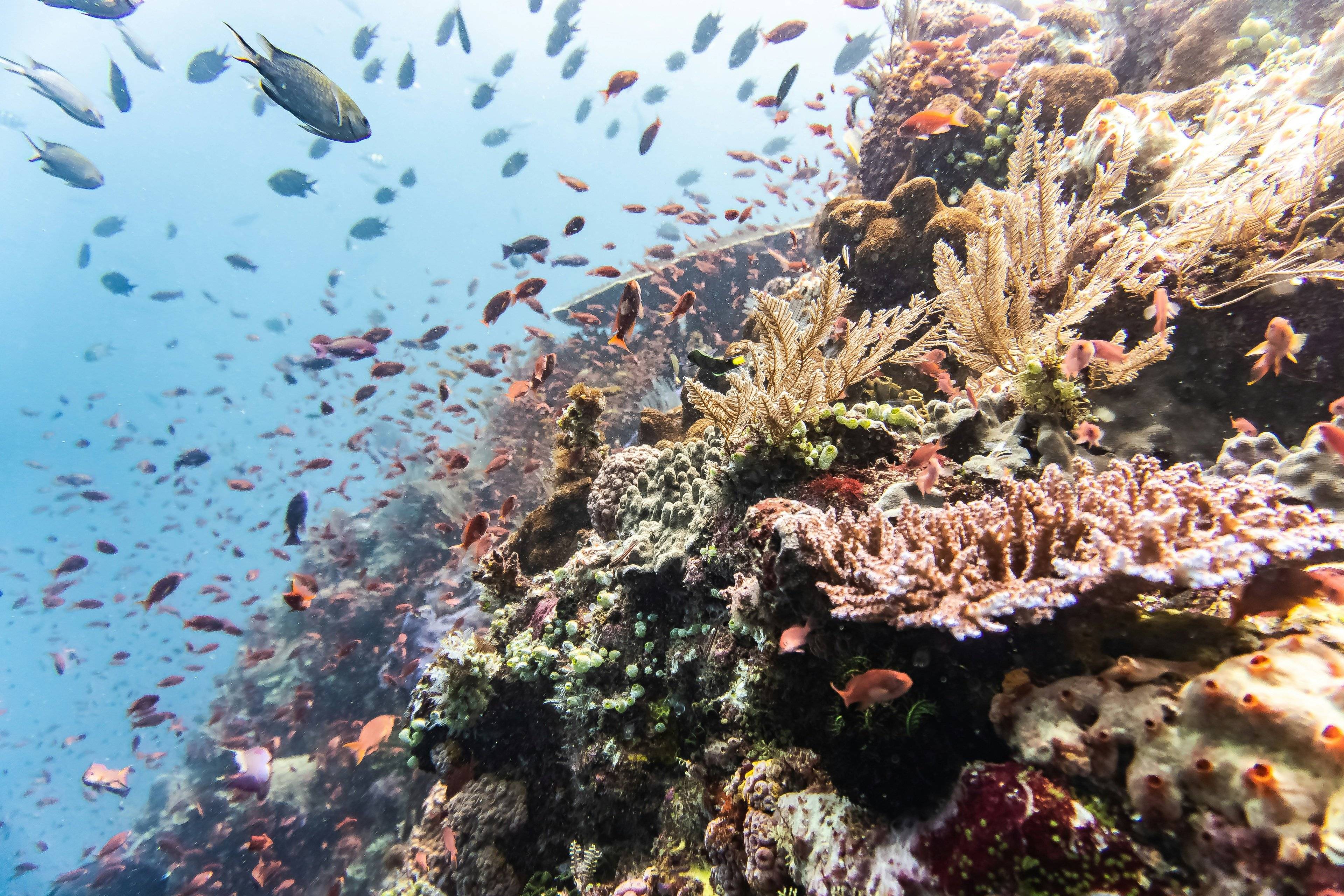 Descubriendo Bali y Lombok en Familia: Una Aventura Inolvidable