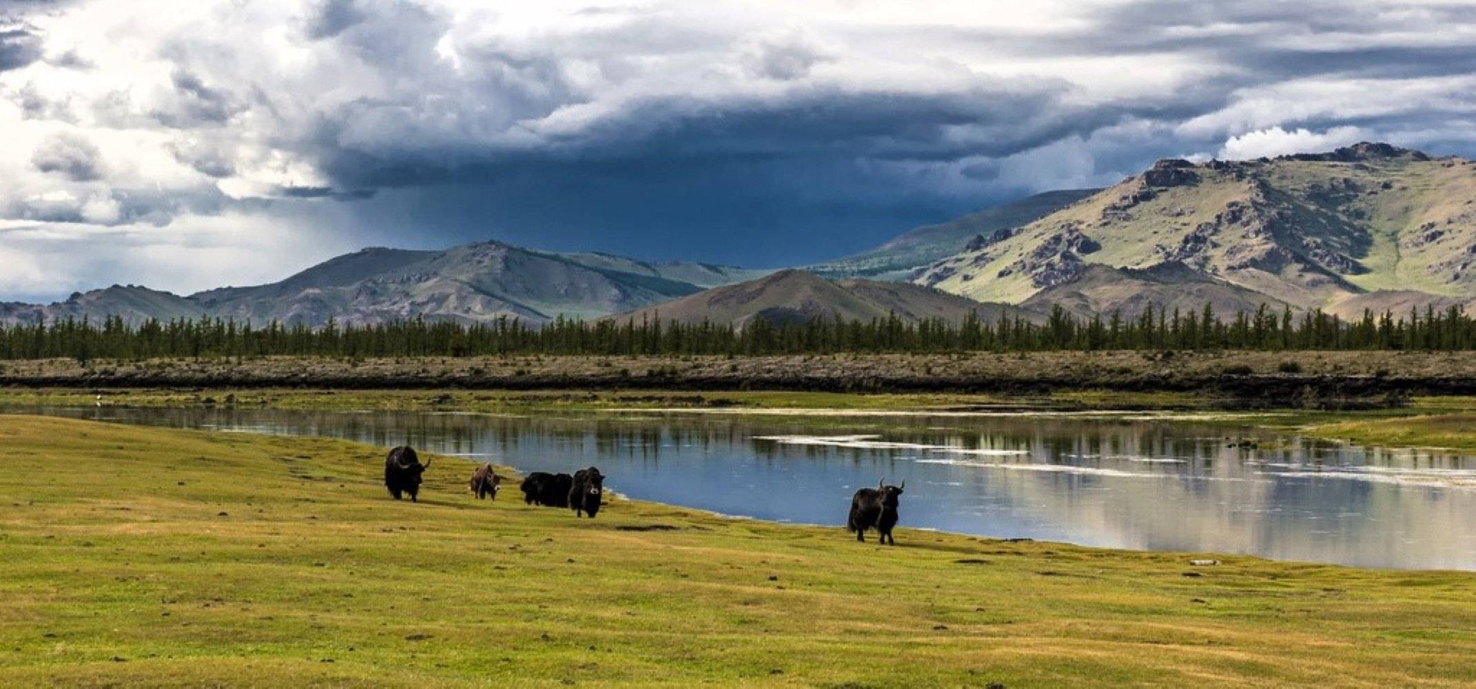 Del Valle de Orkhon al legendario Desierto de Gobi