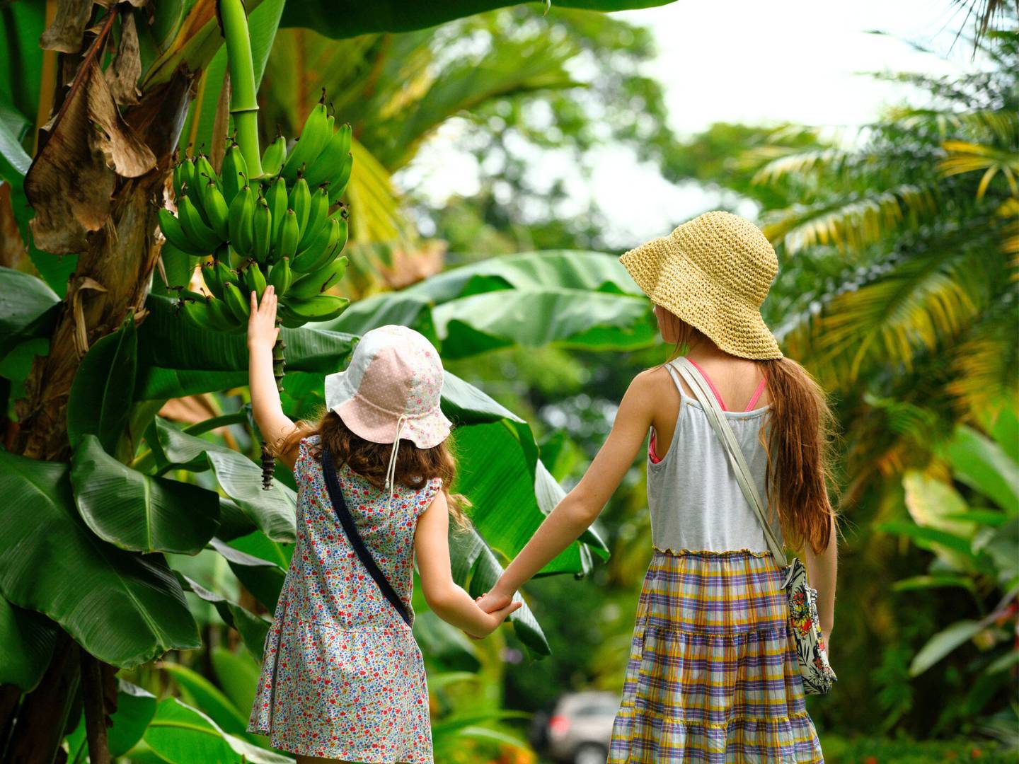 Culture et plages paradisiaques en famille : de Bayahibe à Samana