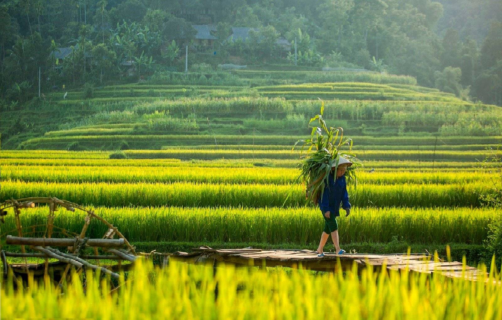 De la baie d'Halong aux plages de Phu Quoc, en écolodges