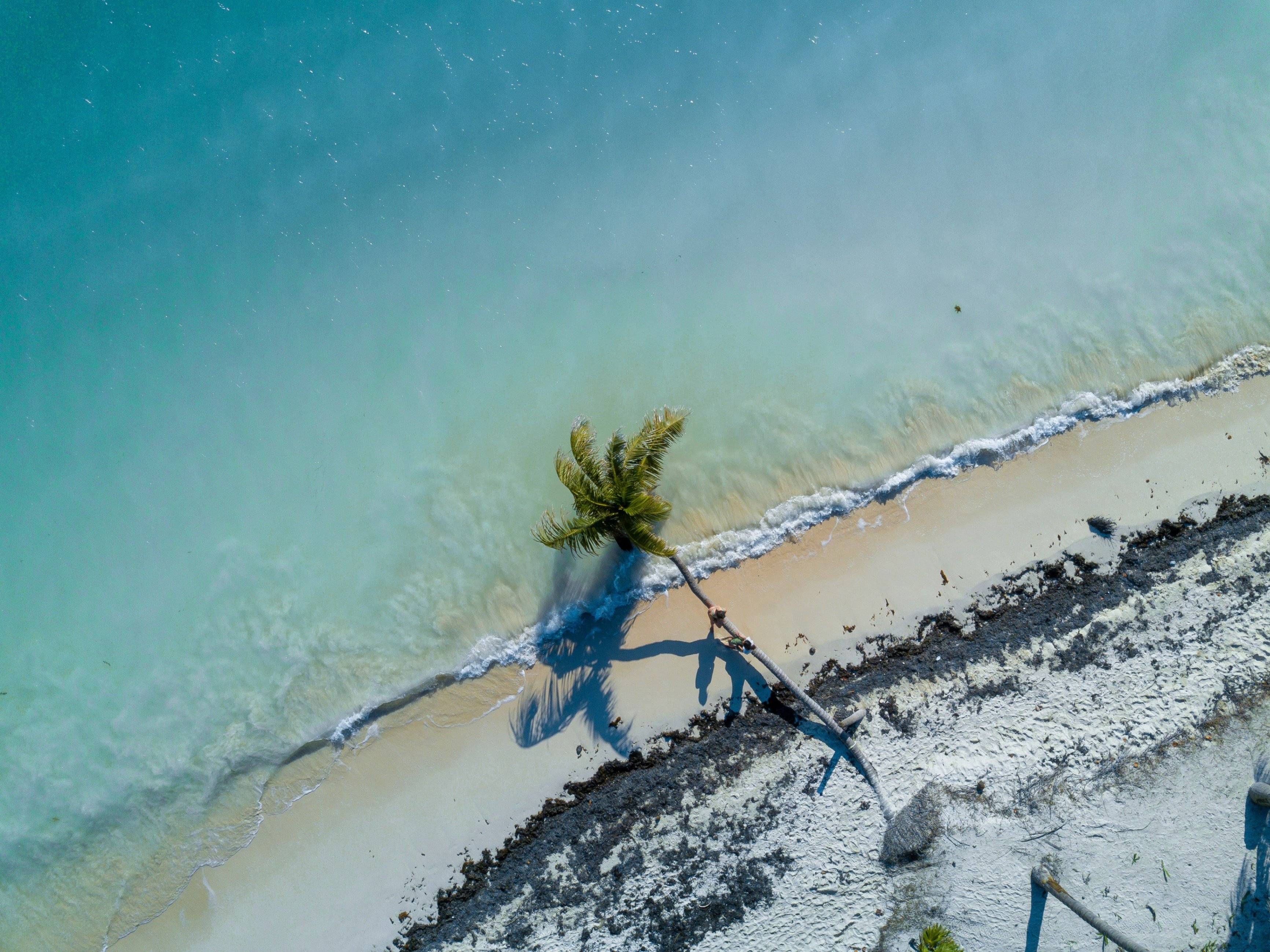 Tour dello Yucatán per famiglie: avventura, natura e cultura Maya