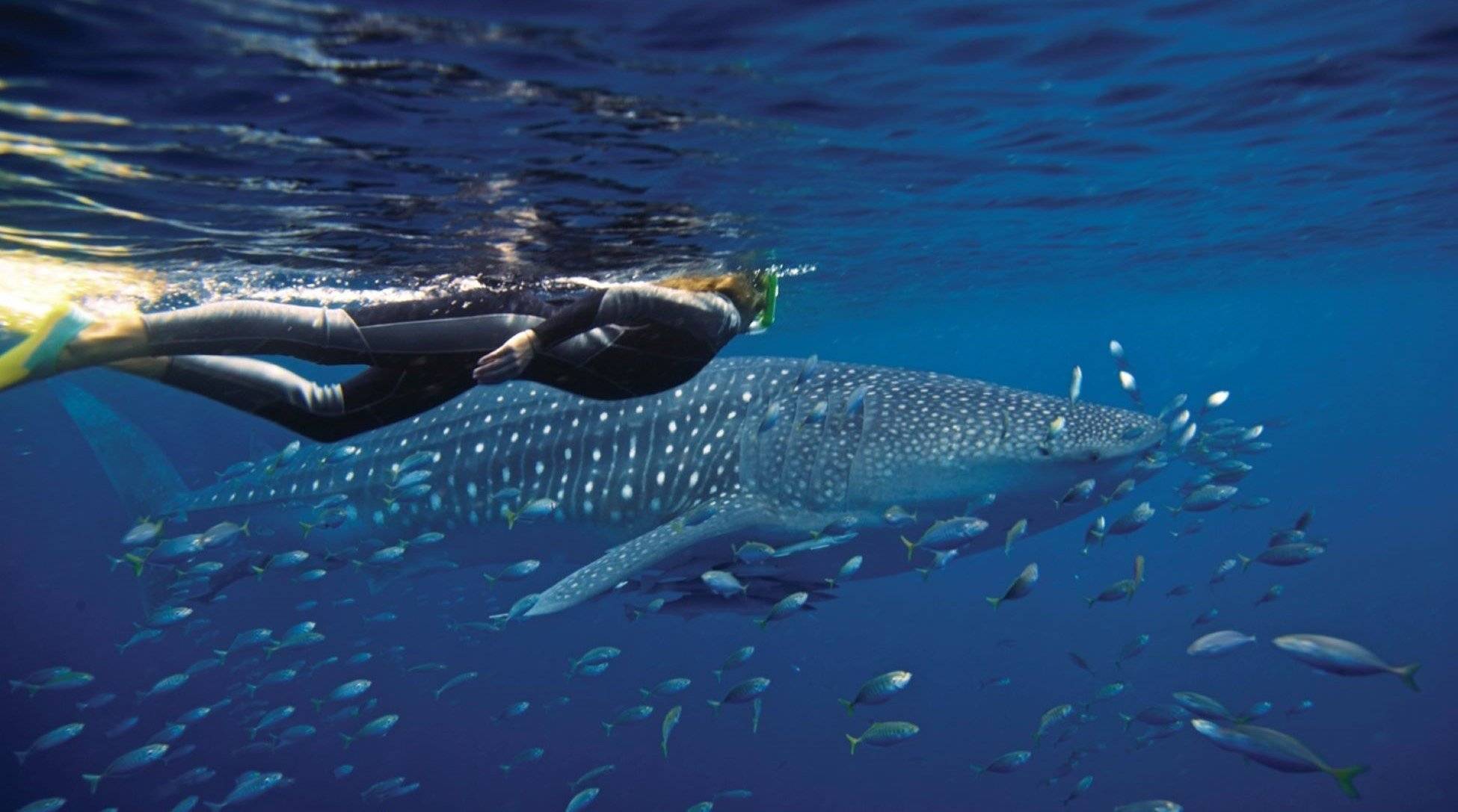 Westaustralien: Von Perth zu den Naturwundern des Ningaloo-Riffs