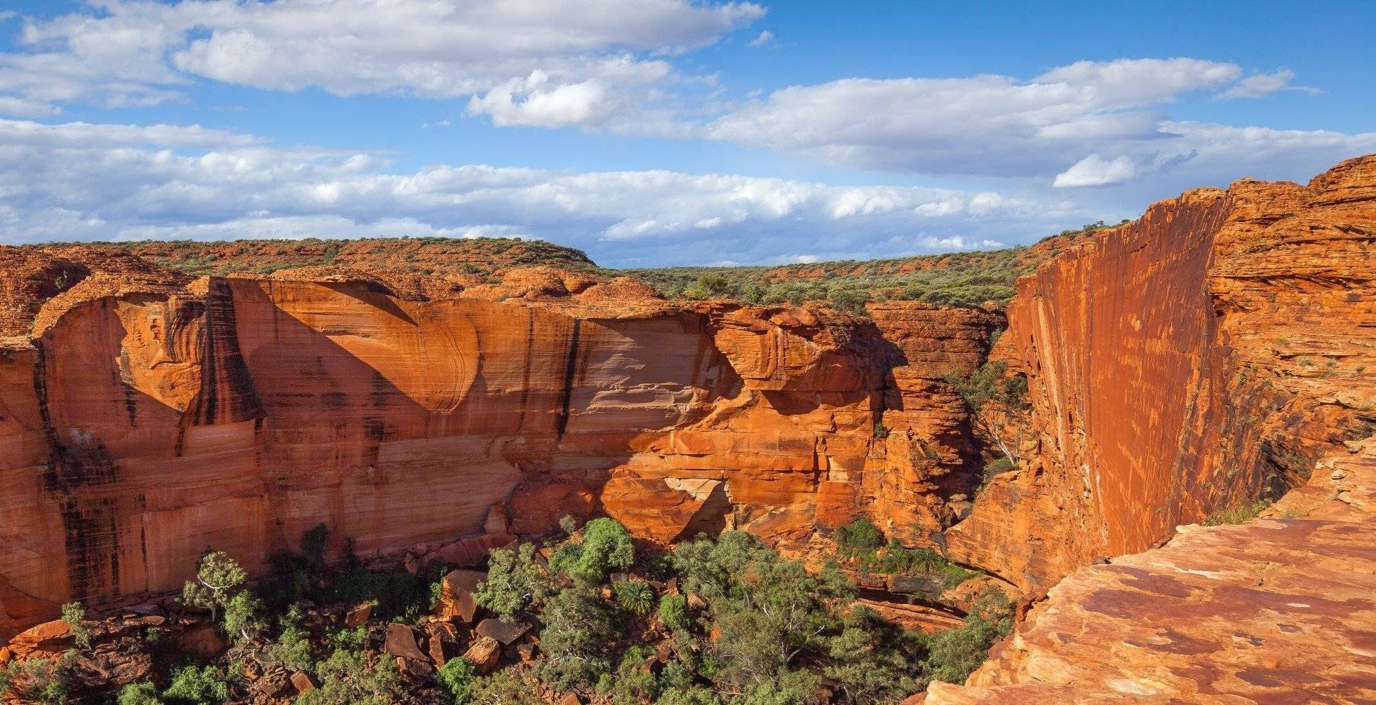 Stranden, Outback en Stedelijk Leven: Uw Volledige Australië Avontuur