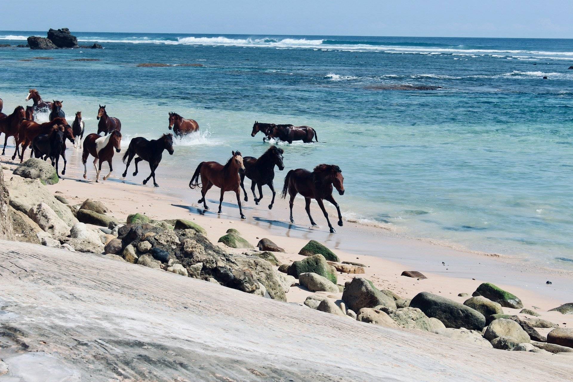 Séjour ethnique en Sulawesi et Sumba