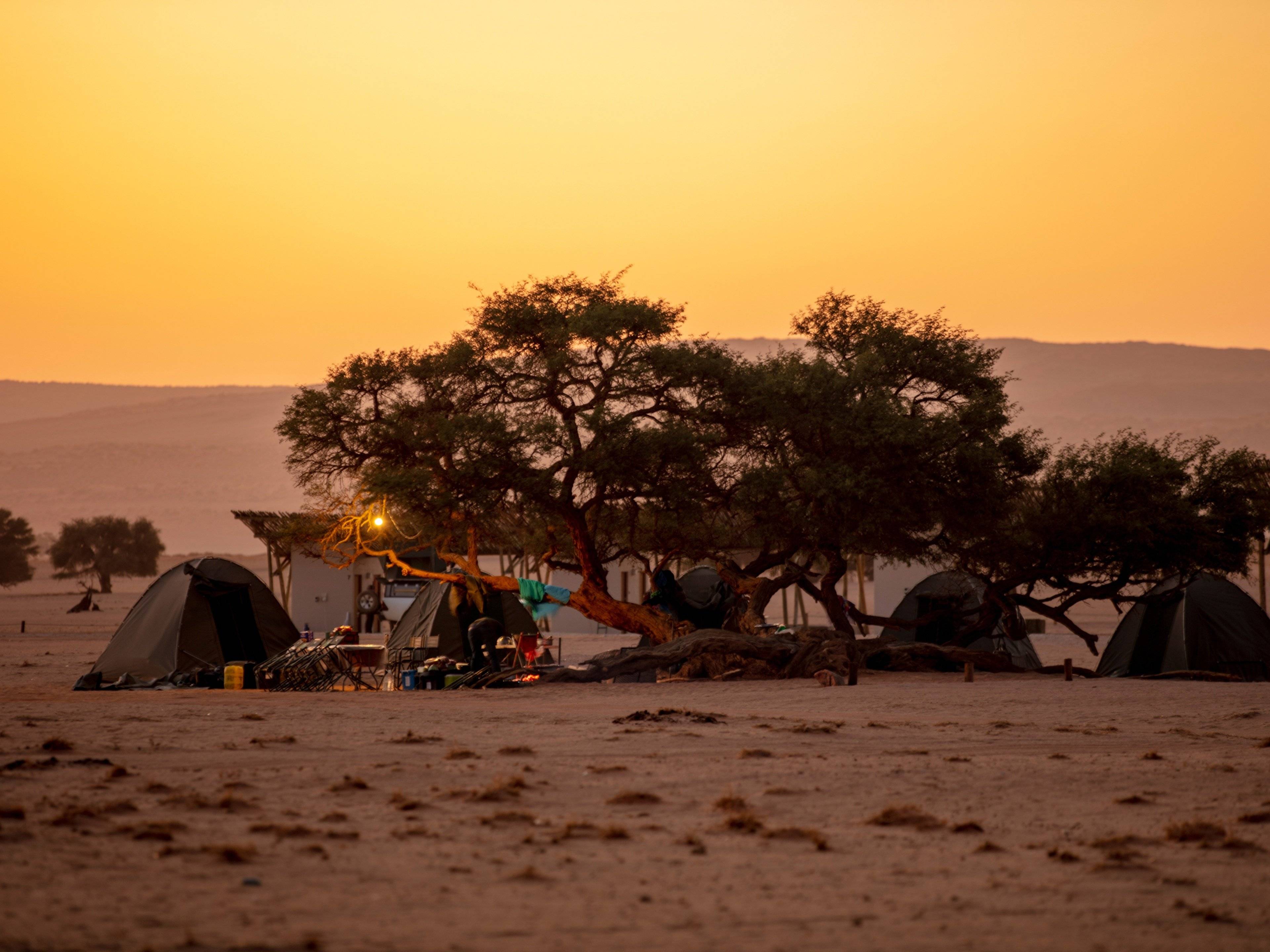 Safari-Abenteuer – Entdecke die Wüsten, Wildnis und Tierwelt beim Camping