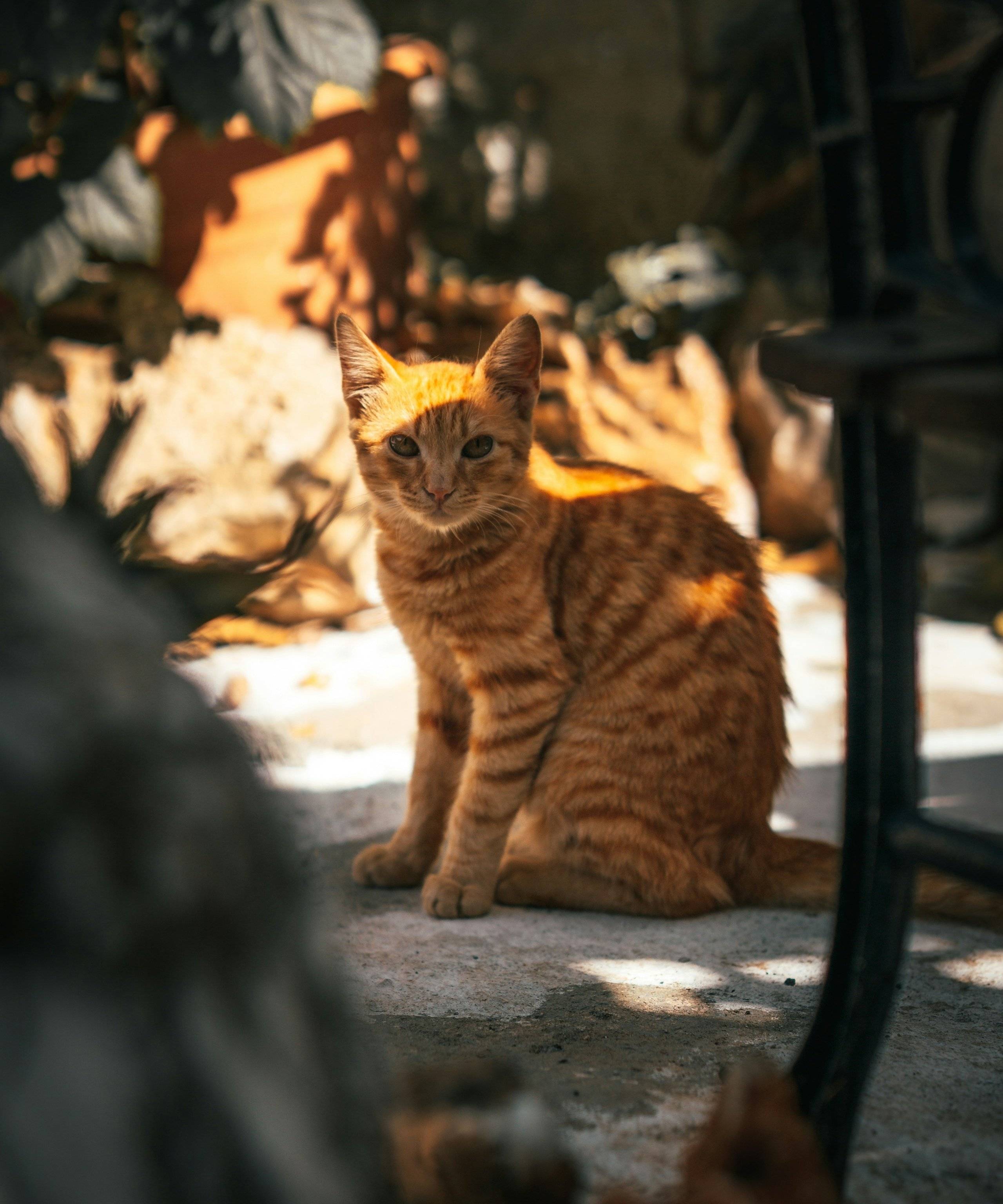 Athènes et le Péloponnèse en famille