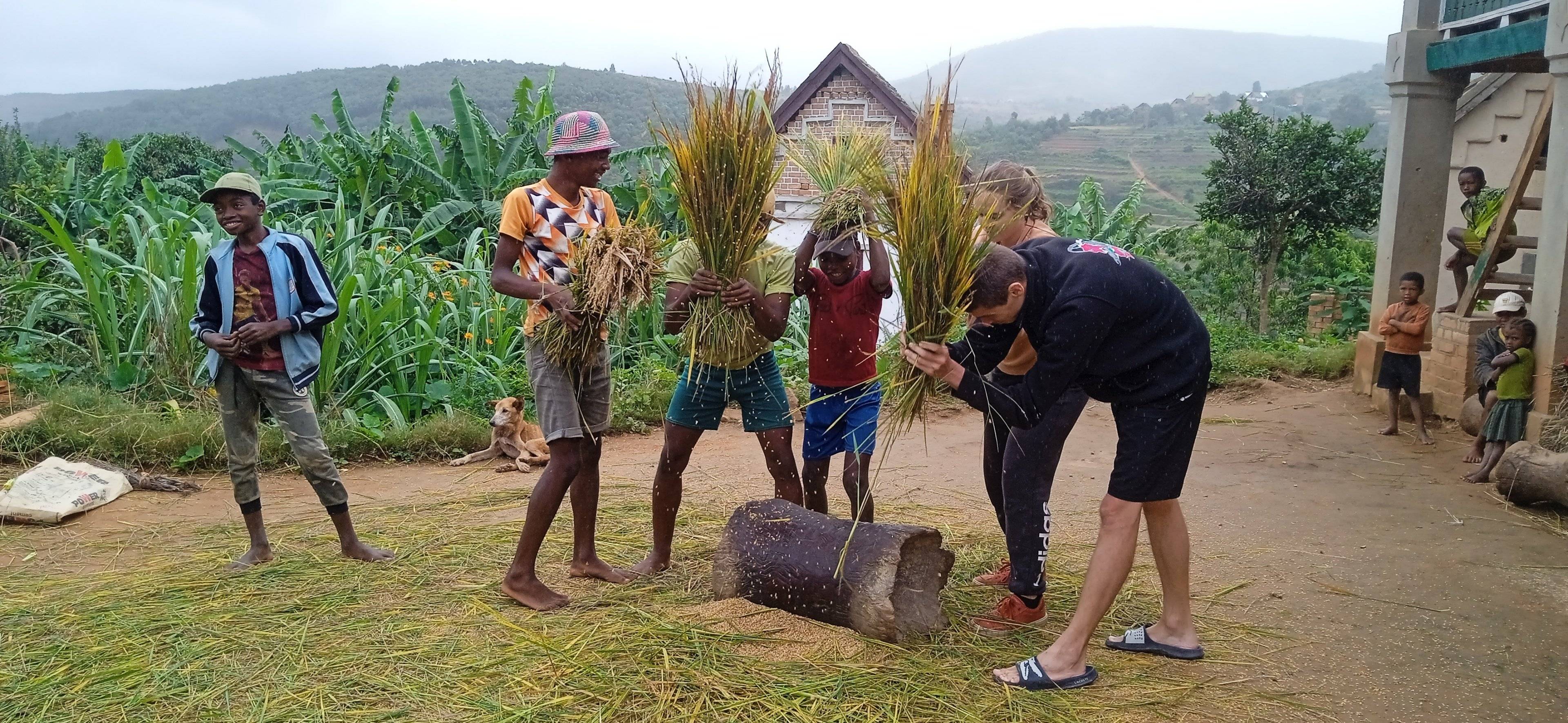 Splendeurs du Grand Sud Malgache, de la RN7 à Fort Dauphin