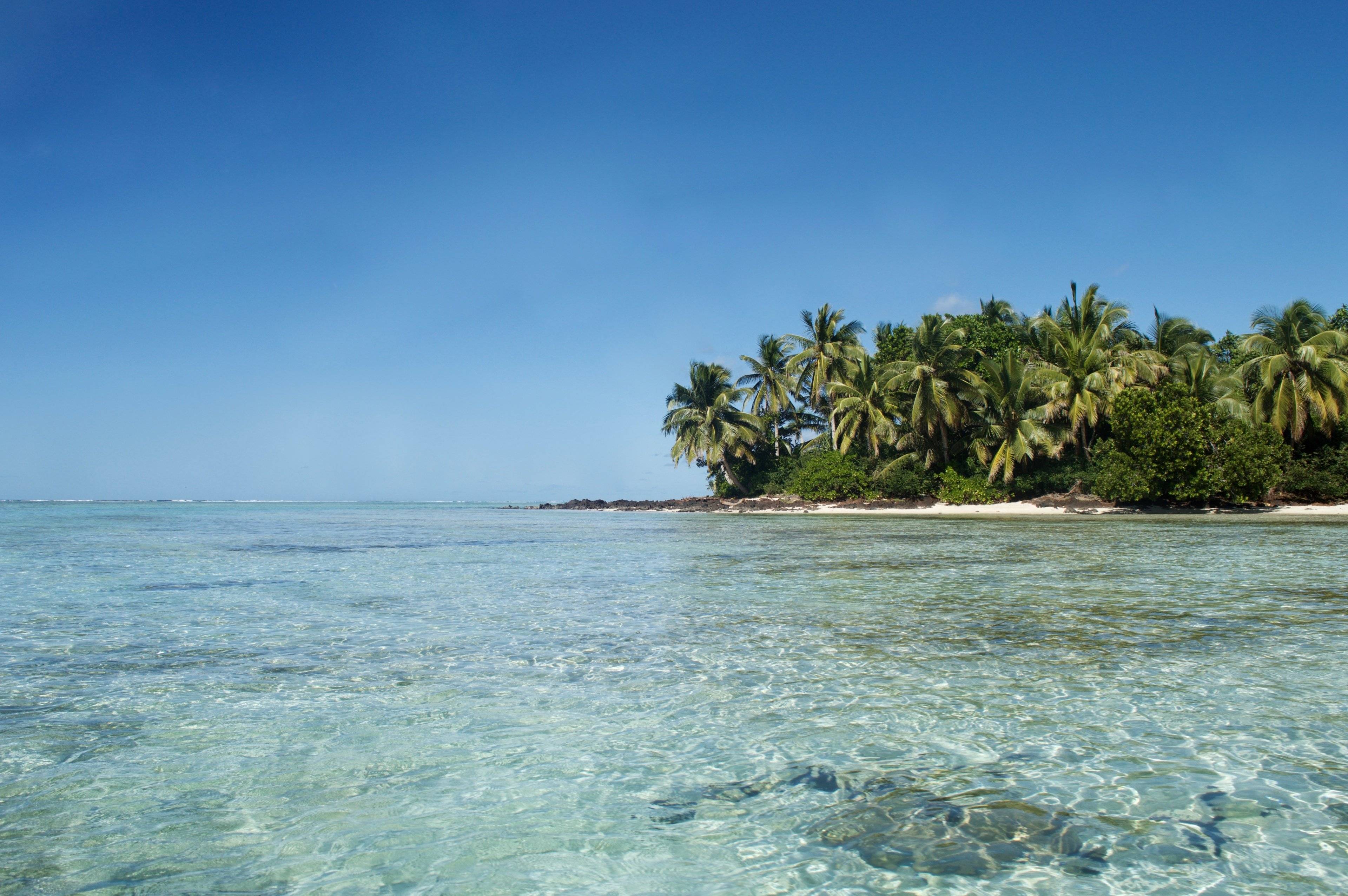 Forêt humide d'Andasibe, le paradis des Indri-Indri, Canal des Pangalanes et île Sainte-Marie