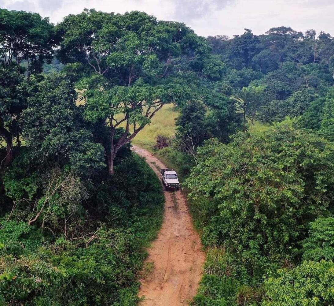 Safaris terrestres et nautiques d'exception entre Pongara et Loango