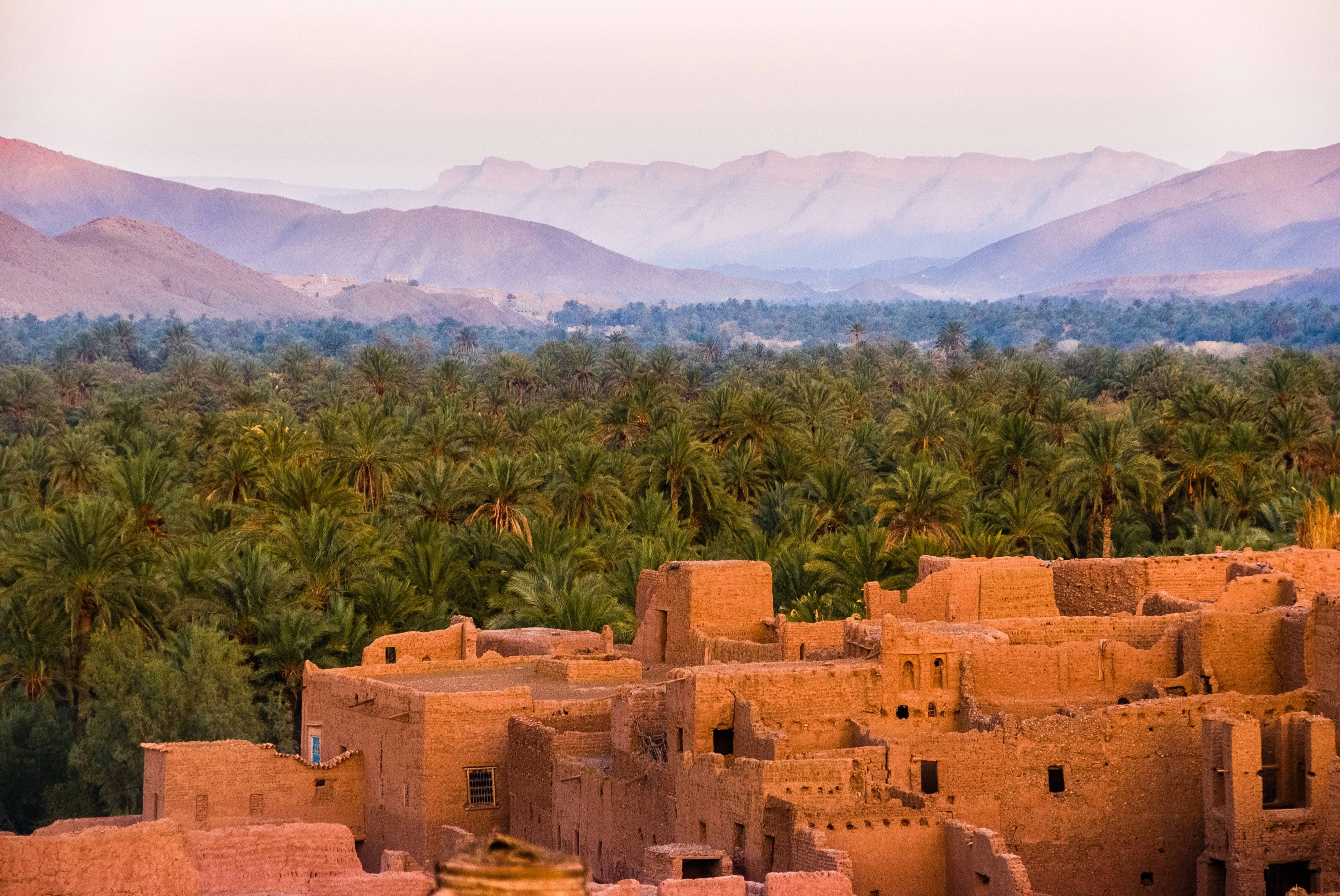 Essence Marocaine : Randonnée, Saveurs et Découvertes