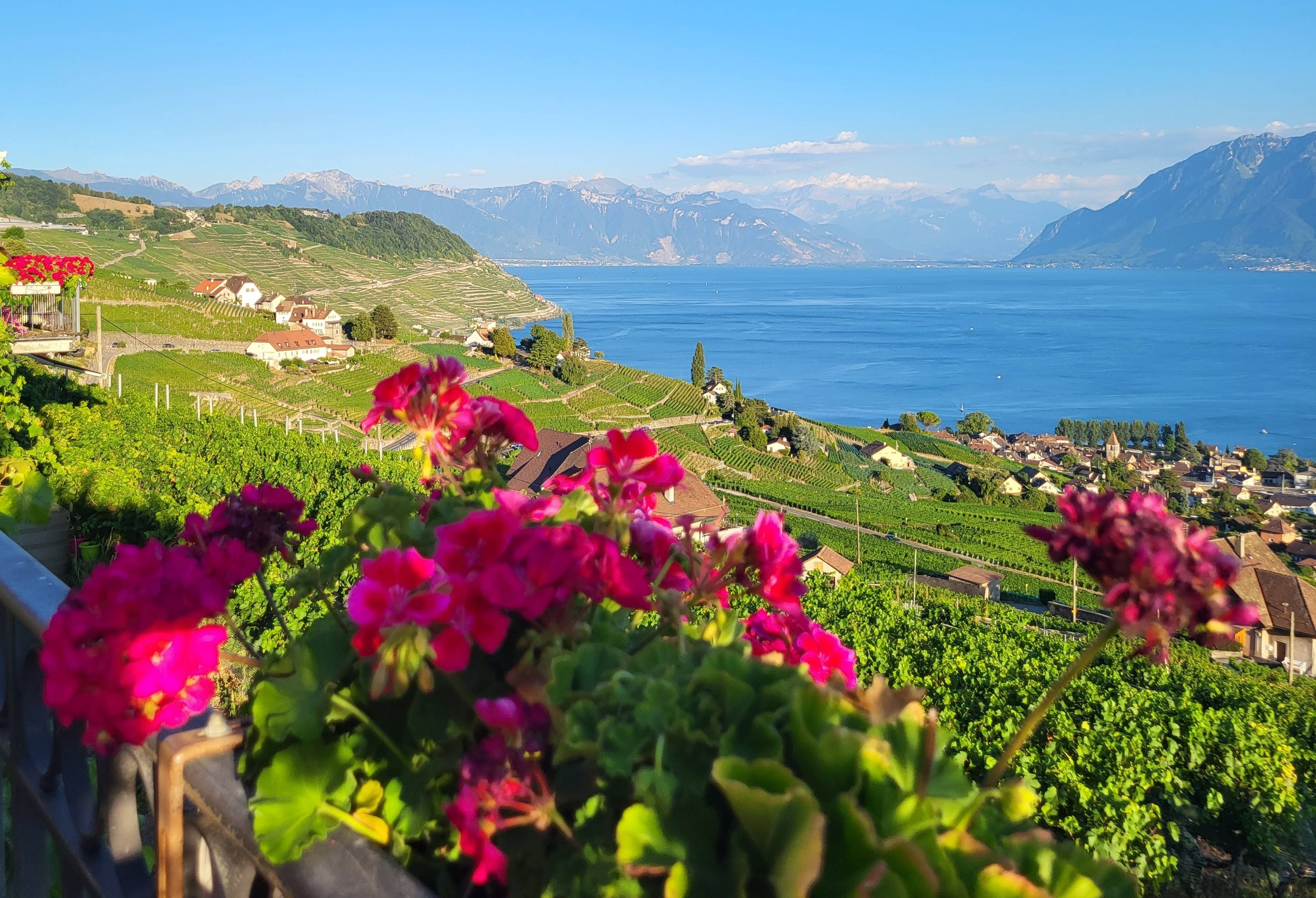 Voyage en famille entre lacs et montagnes