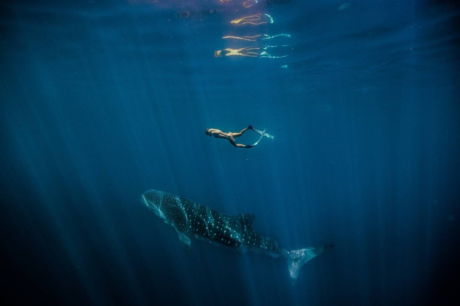 Australie-Occidentale : De Perth aux merveilles naturelles du récif de Ningaloo