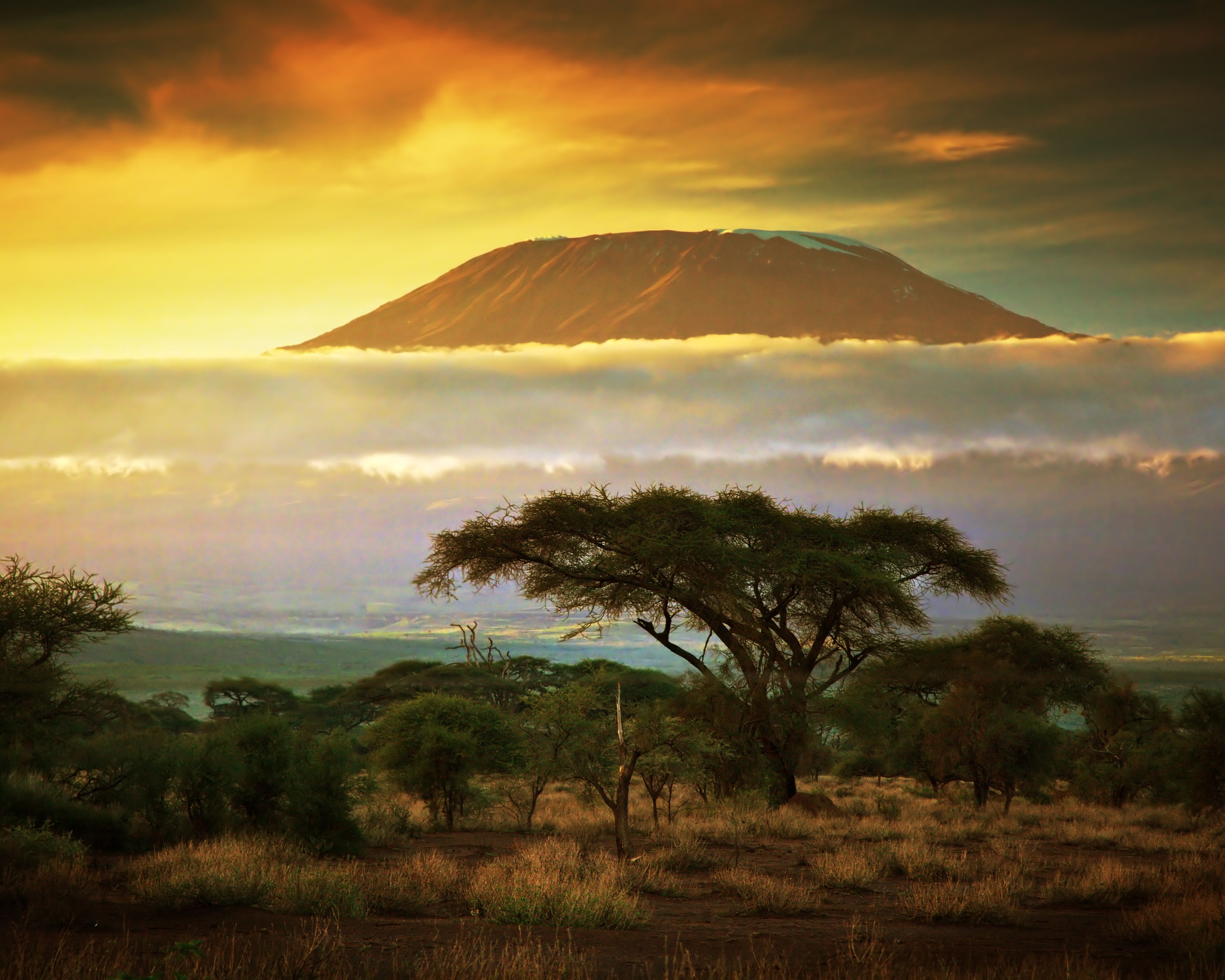 Del Monte Kilimanjaro a los Parques del Norte de Tanzania