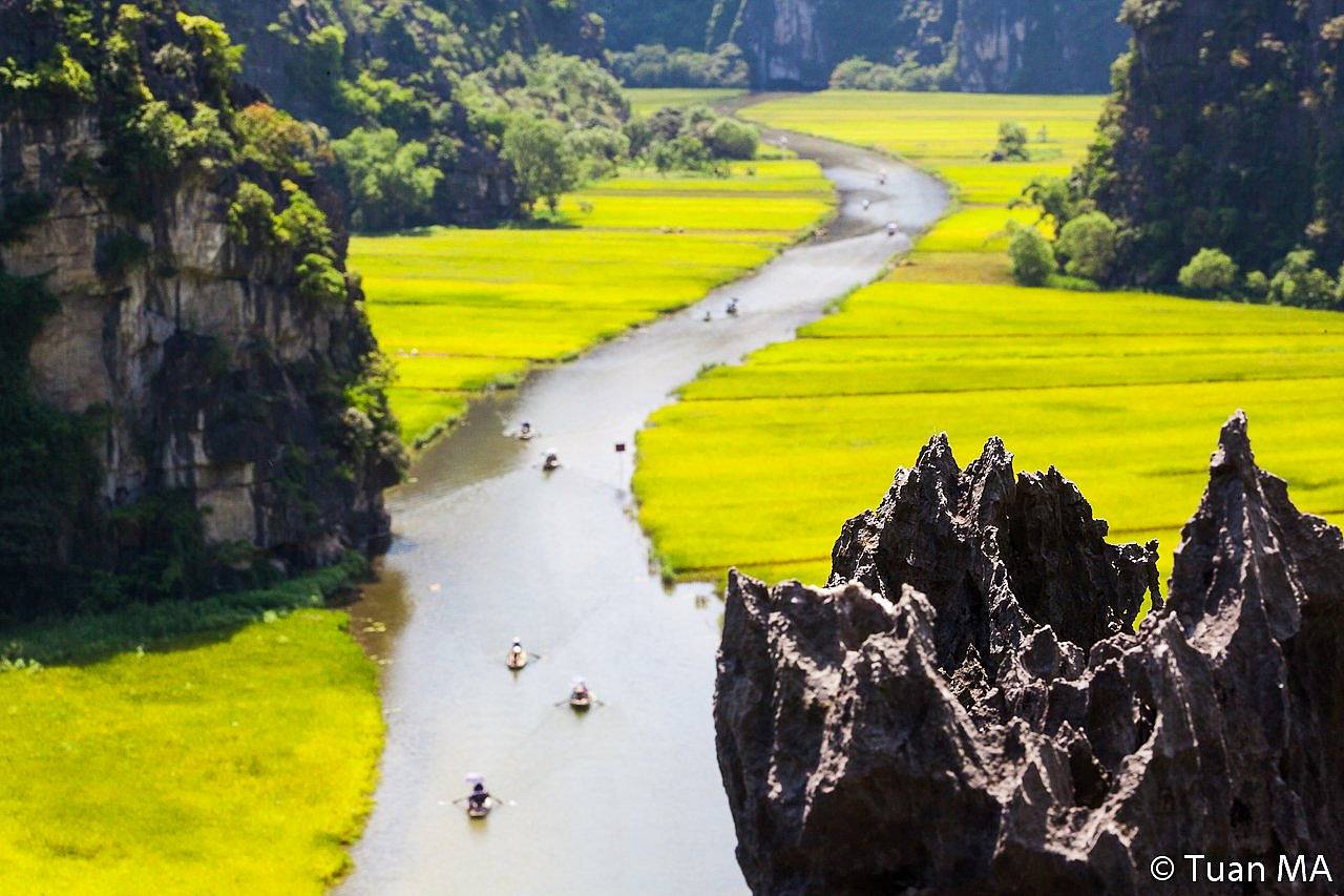 Scoperta del Mekong, Baia di Halong e risaie del nord
