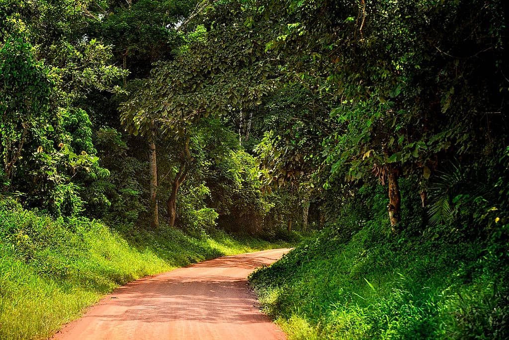 Weiterfahrt in den Kibale Forest National Park