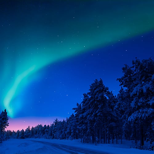 Aventure Boréale - La Laponie norvégienne à l'heure d'hiver - 