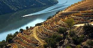 La vallée du Douro et son patrimoine viticole