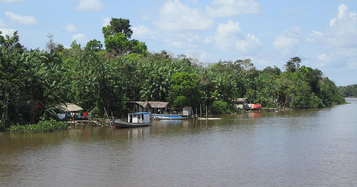 Brazil: Customised Travel Amazônia and Tours | Evaneos