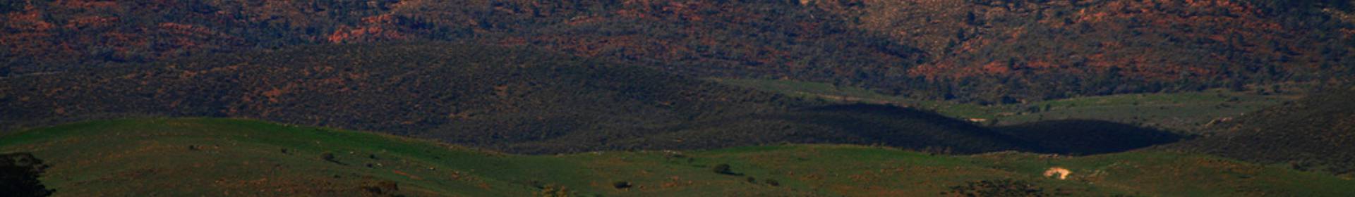 Flinders Range