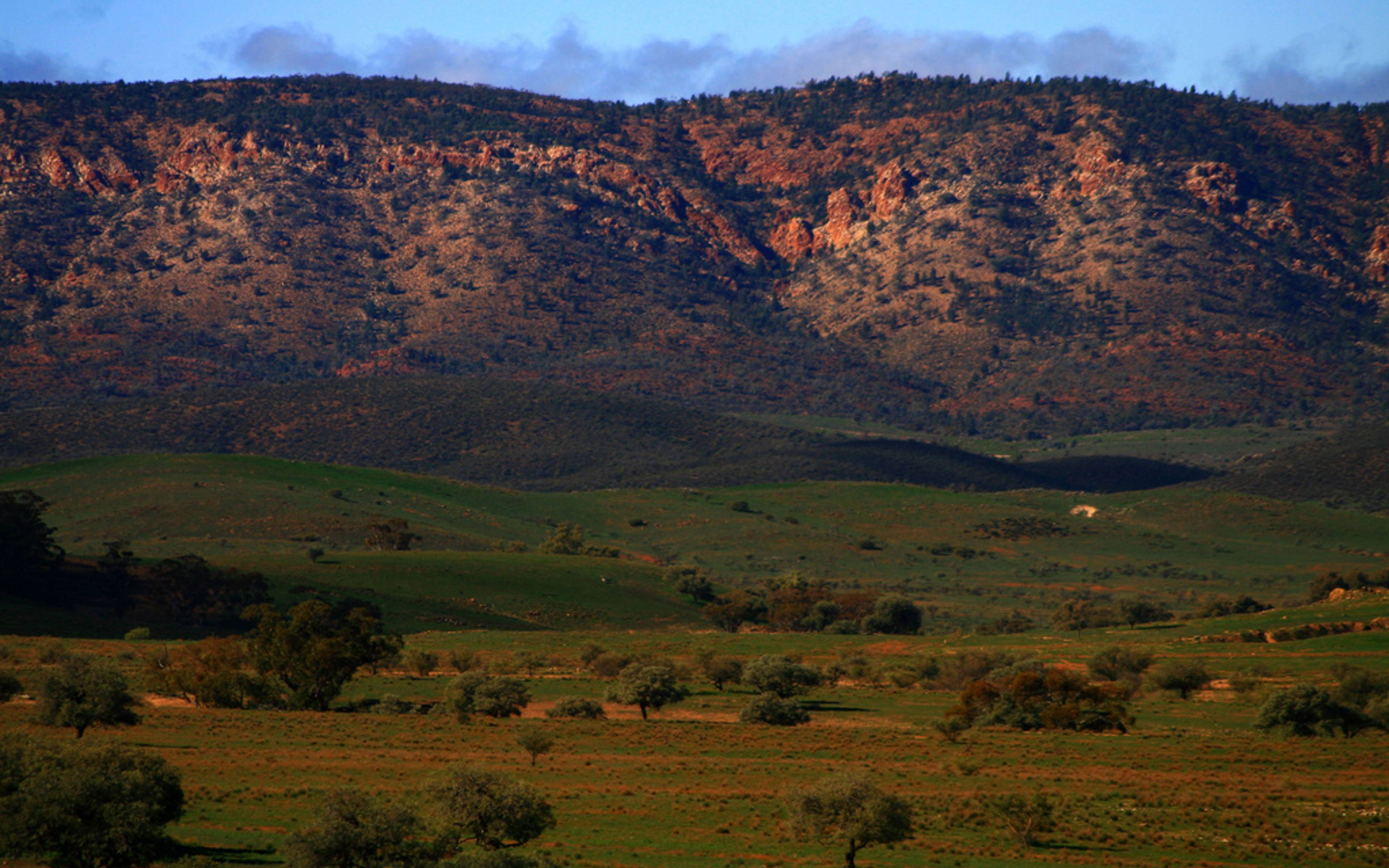 Flinders Range