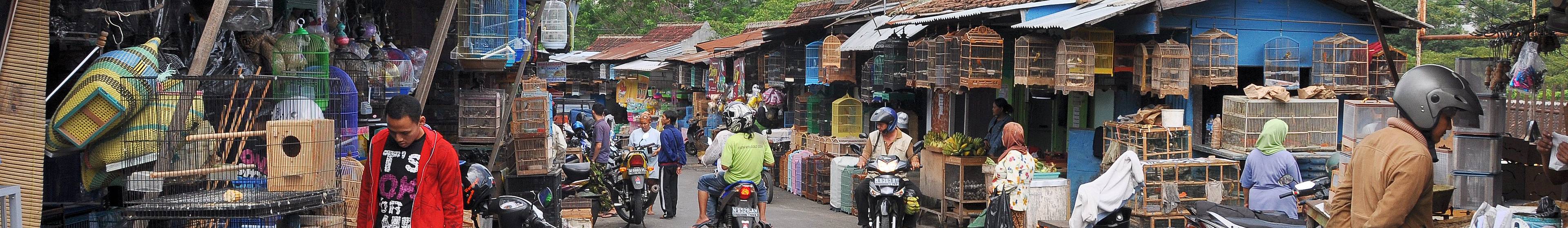  Indonesien  Malang  Sehensw rdigkeiten Evaneos