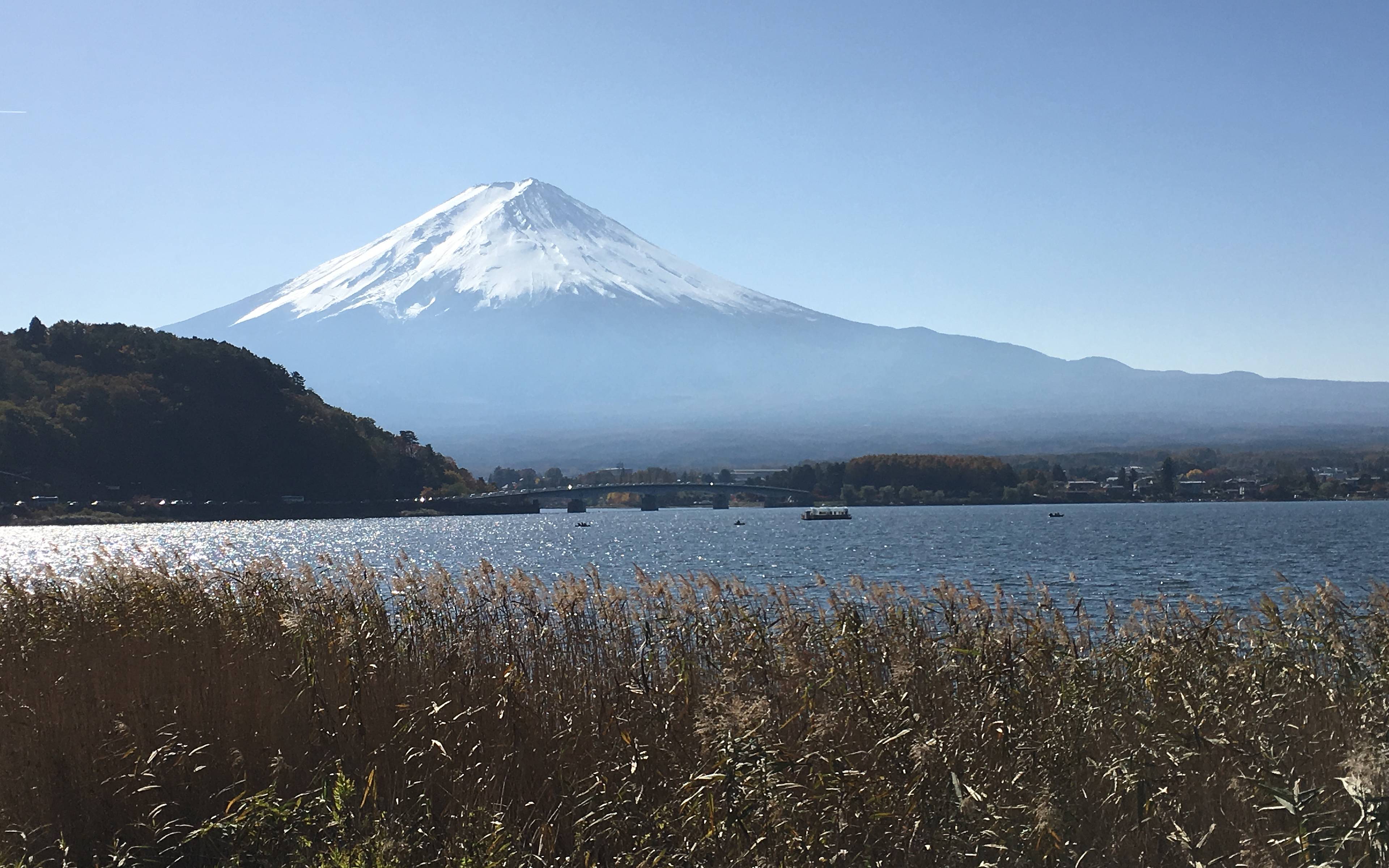 Escursione sul Lago Kawaguchi e spostamento a Nagoya