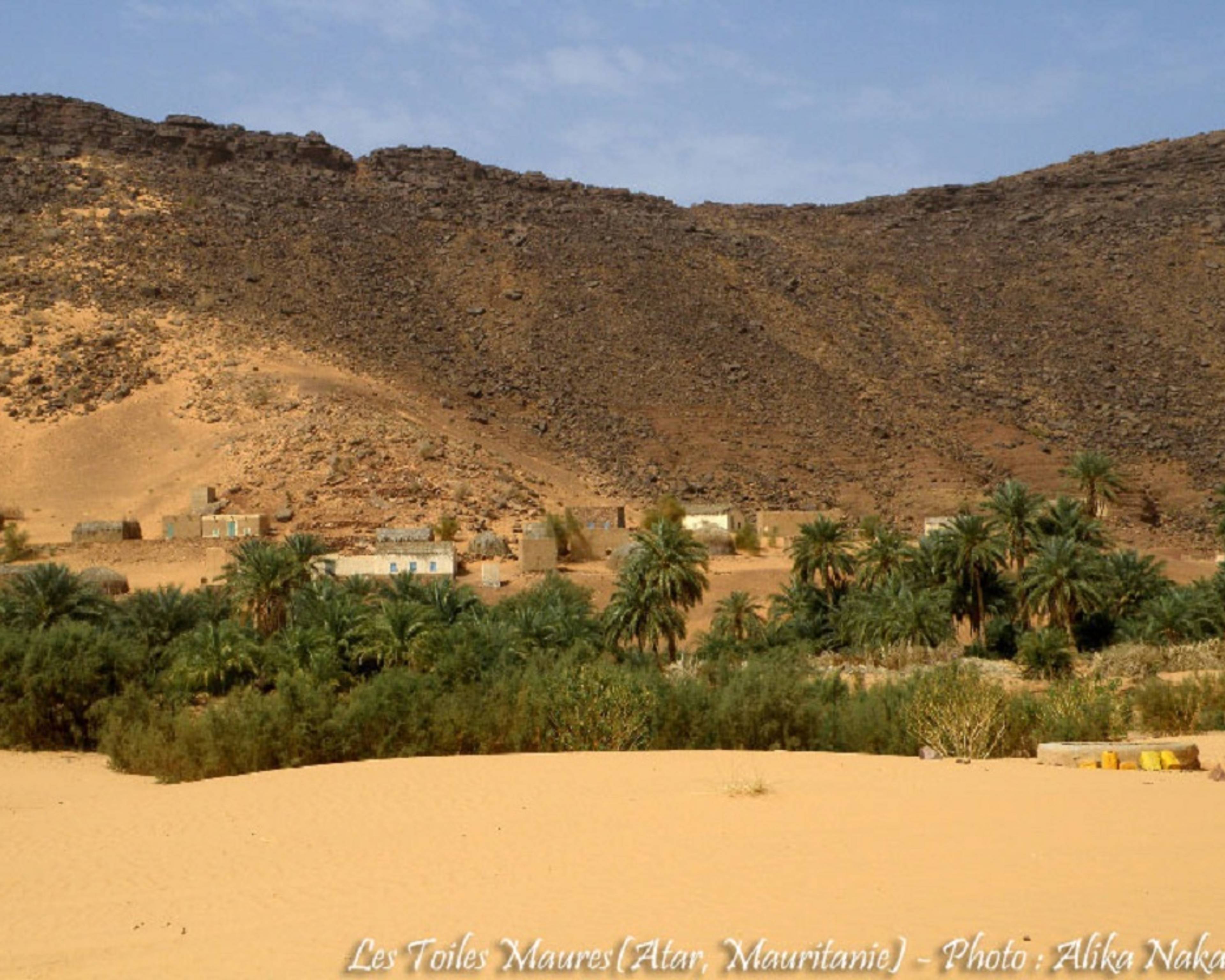 Des dunes et oasis du désert de l'Adrar aux rivages de l'océan en 4x4