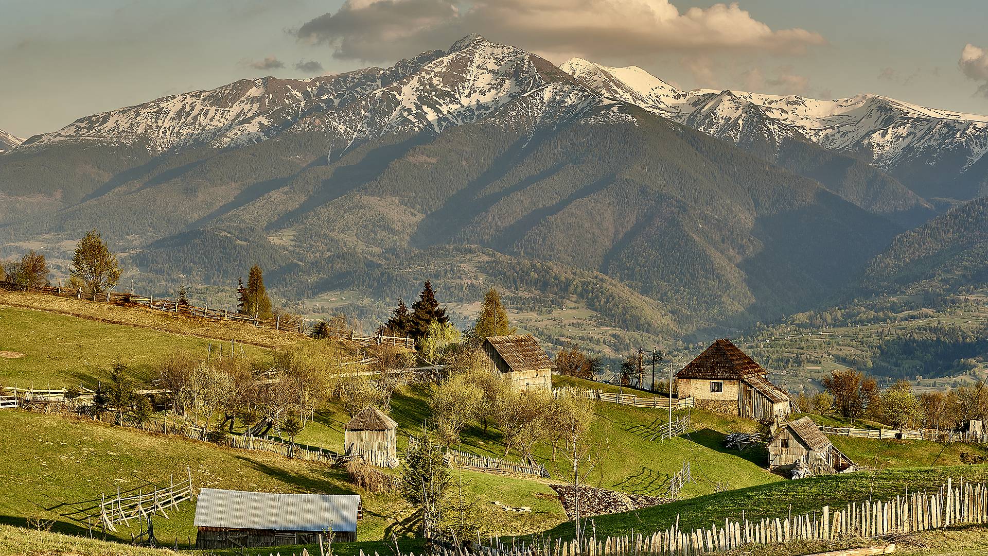 Maramures, Bucovine et Transylvanie : entre nature et traditions