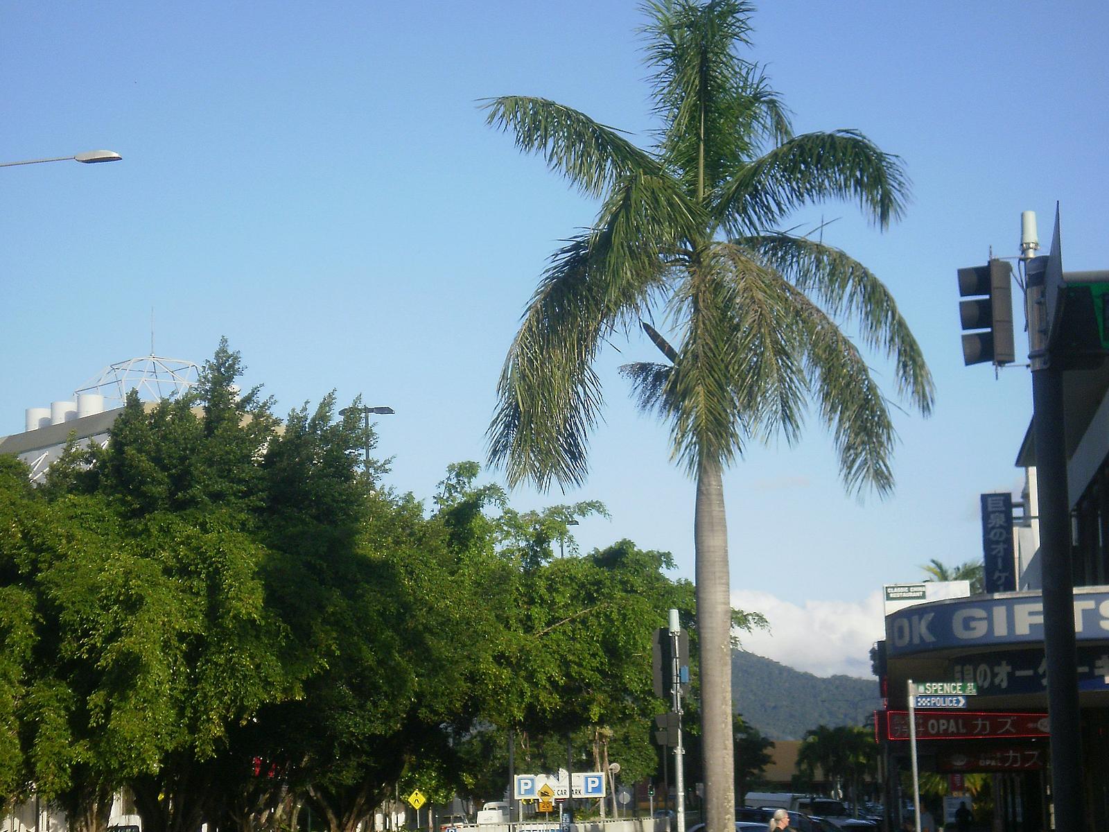 Visit Cairns in a tailor-made tour | Evaneos