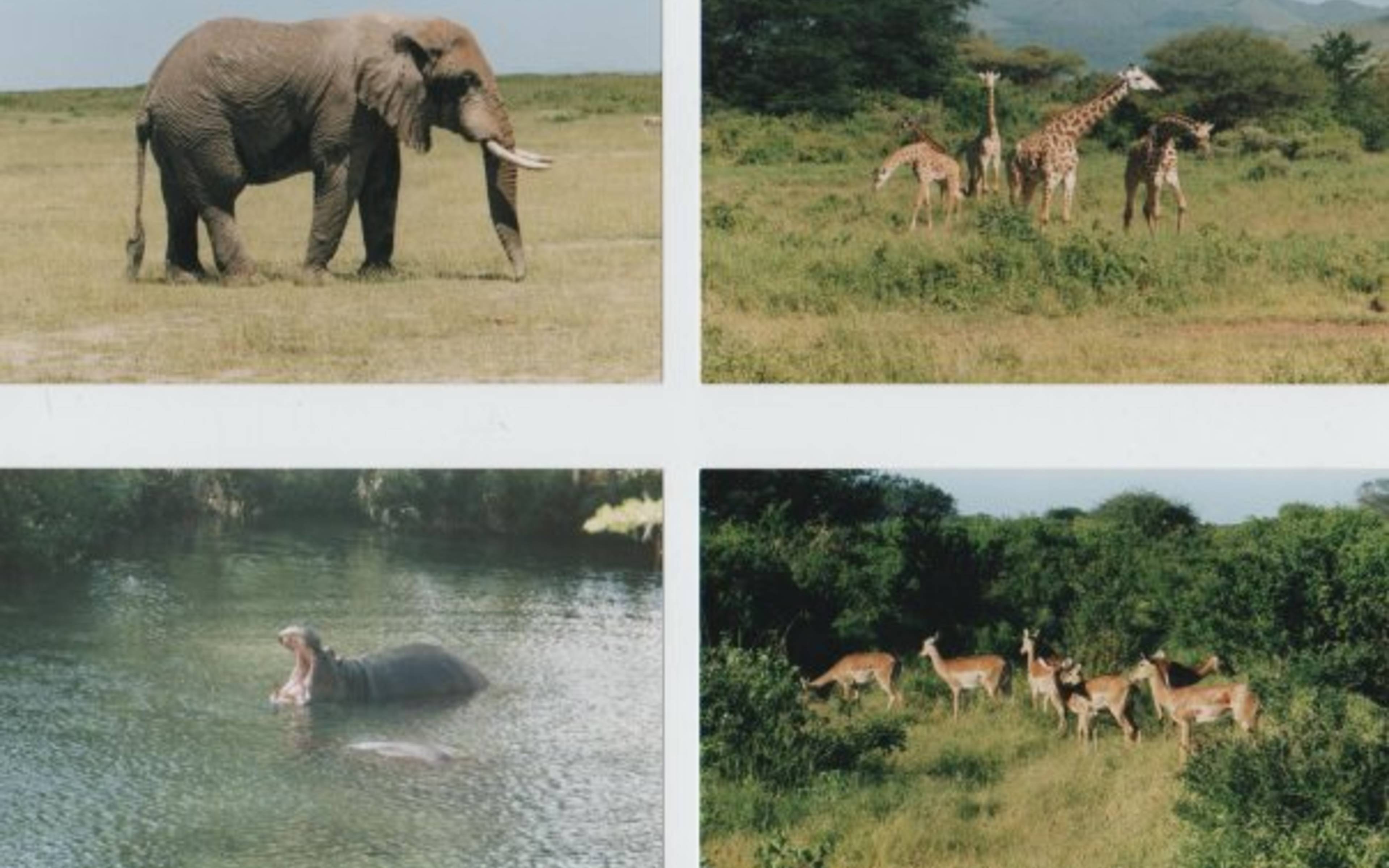 Parc national de Tsavo Ouest