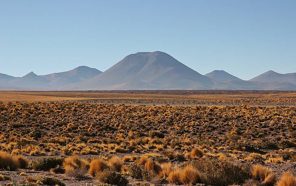 Schillernde Lagunen und gigantische Vulkane im Hochland Chiles