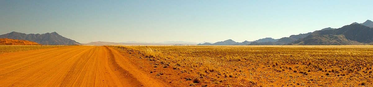 Désert Du Kalahari