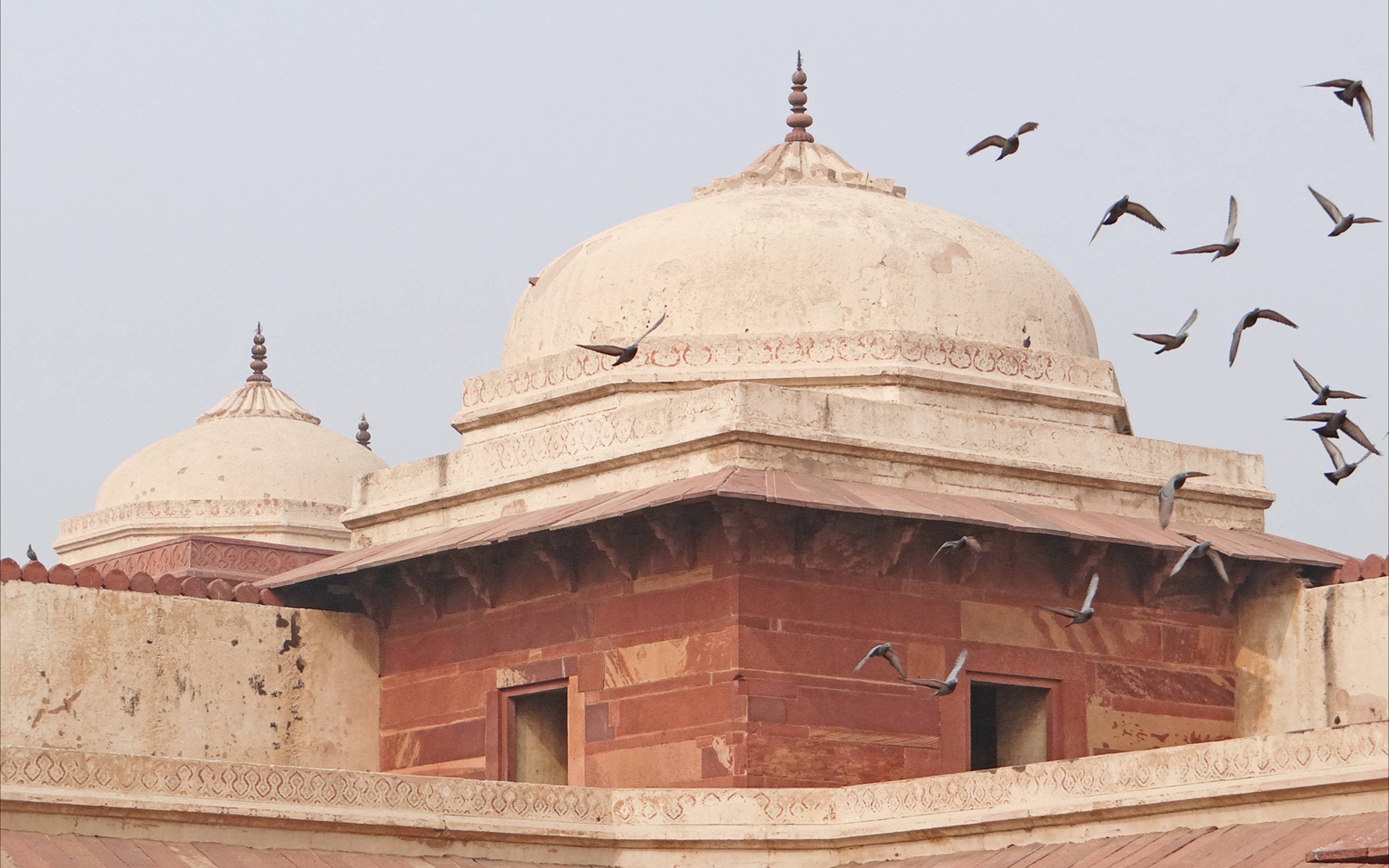 Visita di Fatehpur Sikri e arrivo ad Agra 