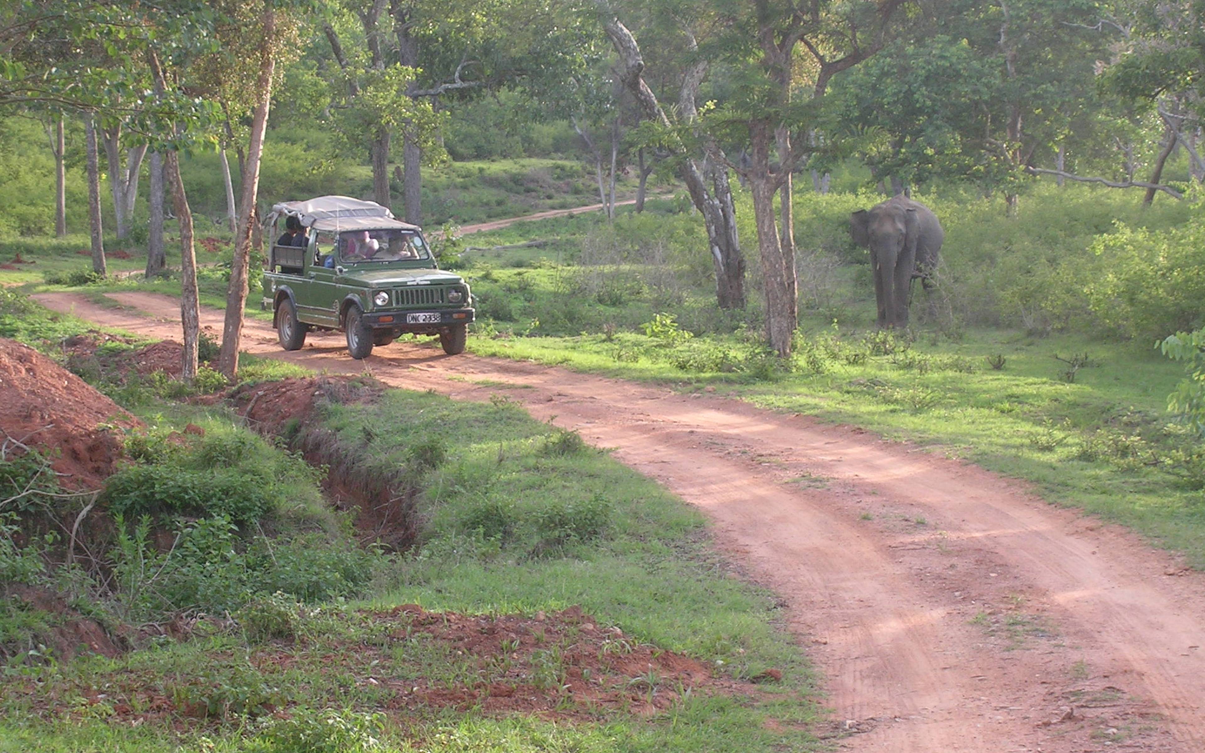 Safari en Jeep a Jojawar