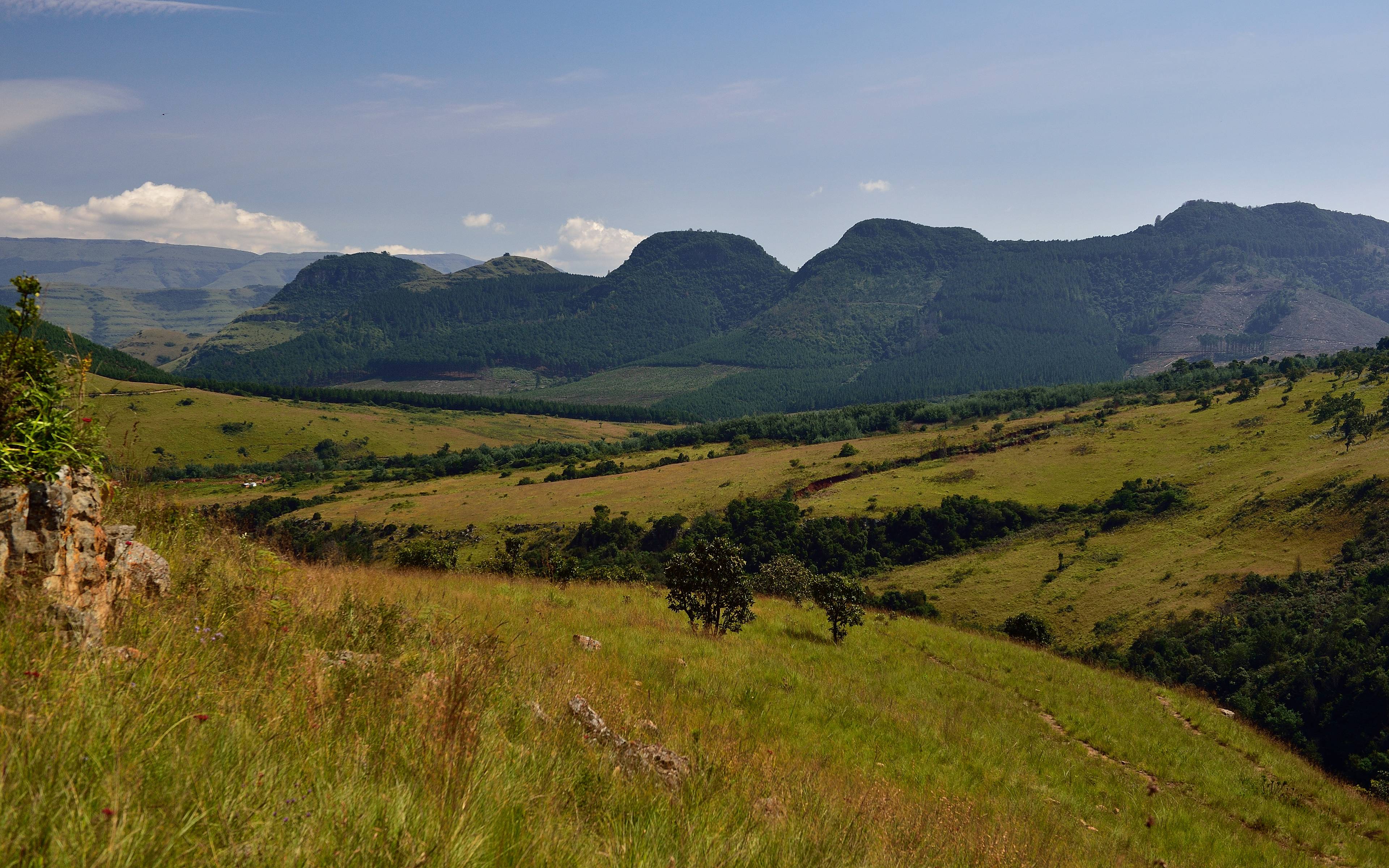 Panorami e Safari nella provincia di Limpopo