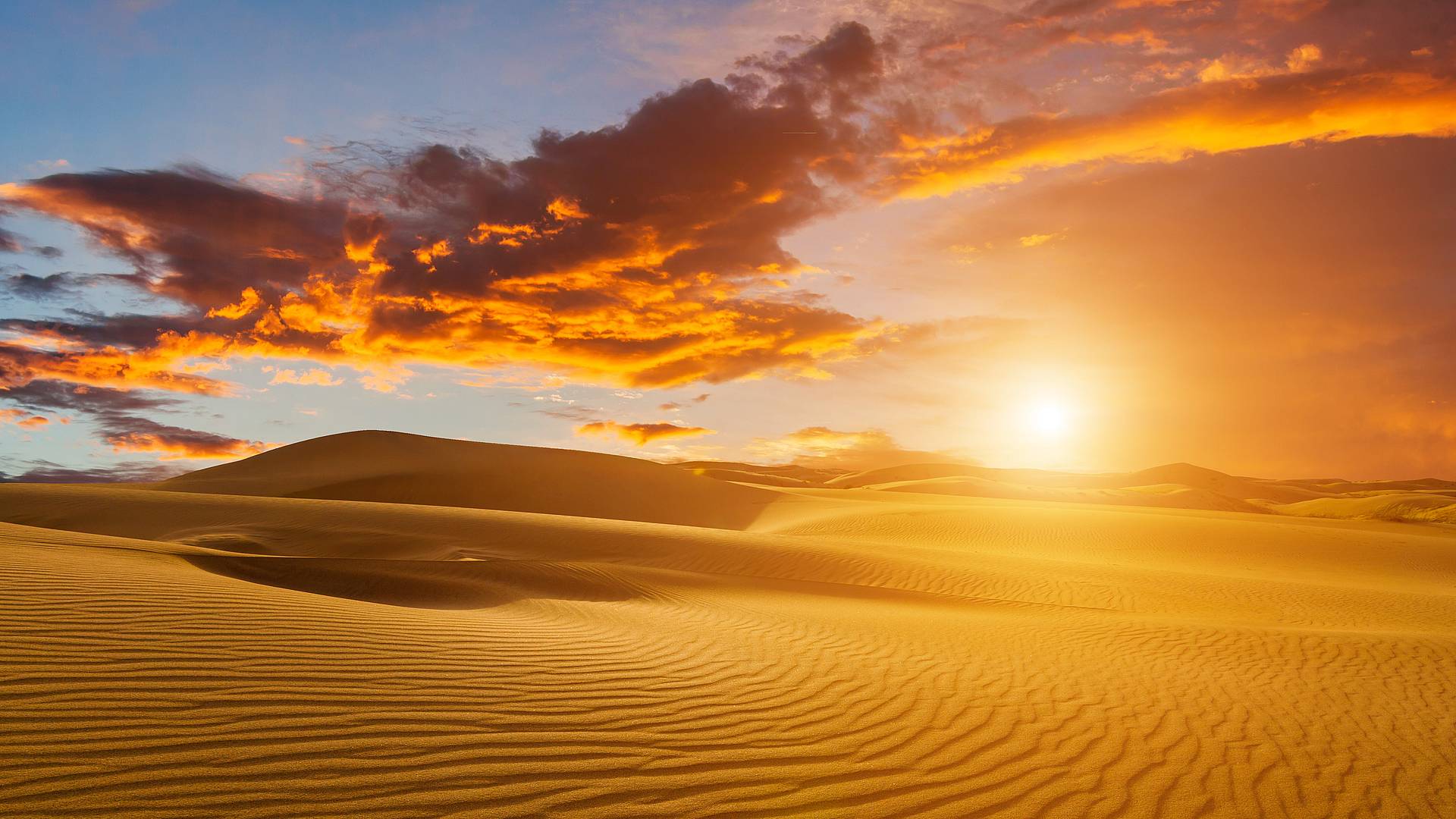 Sahara y oasis con playa
