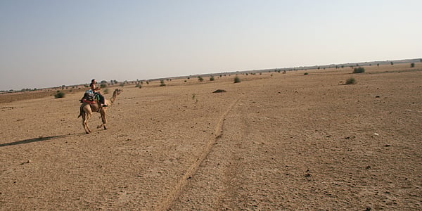 The Thar Desert