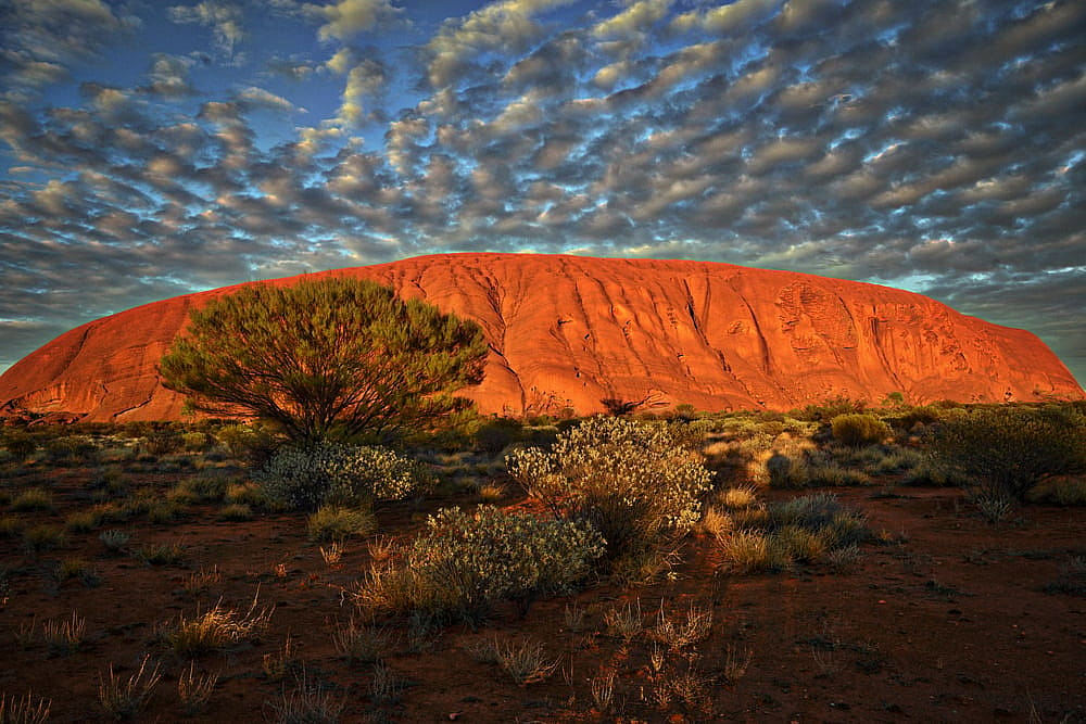 The Red Centre - Abenteuer im Outback 