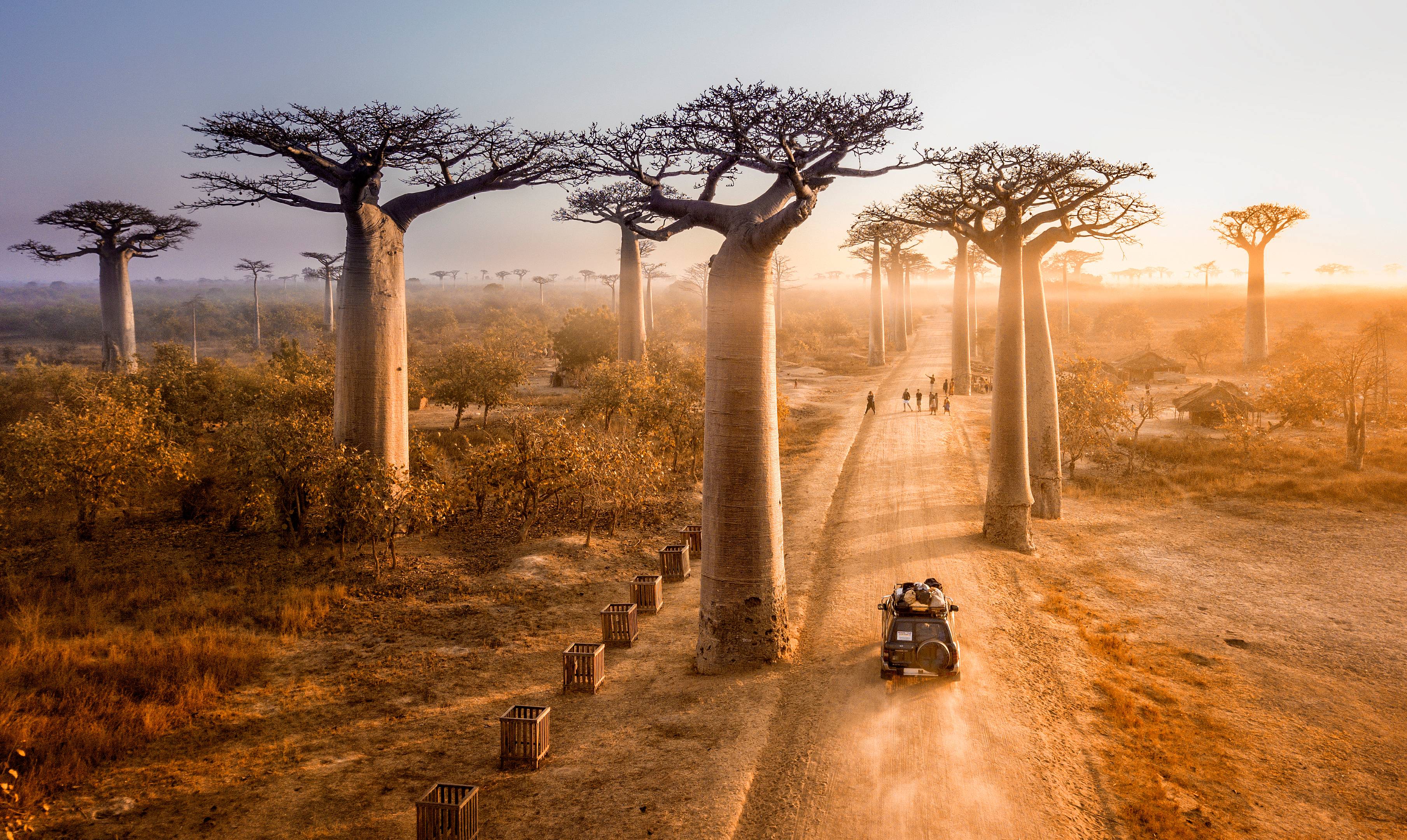 Del Oeste al Sur: Baobabs, Tsingy, Ifaty y Morondava