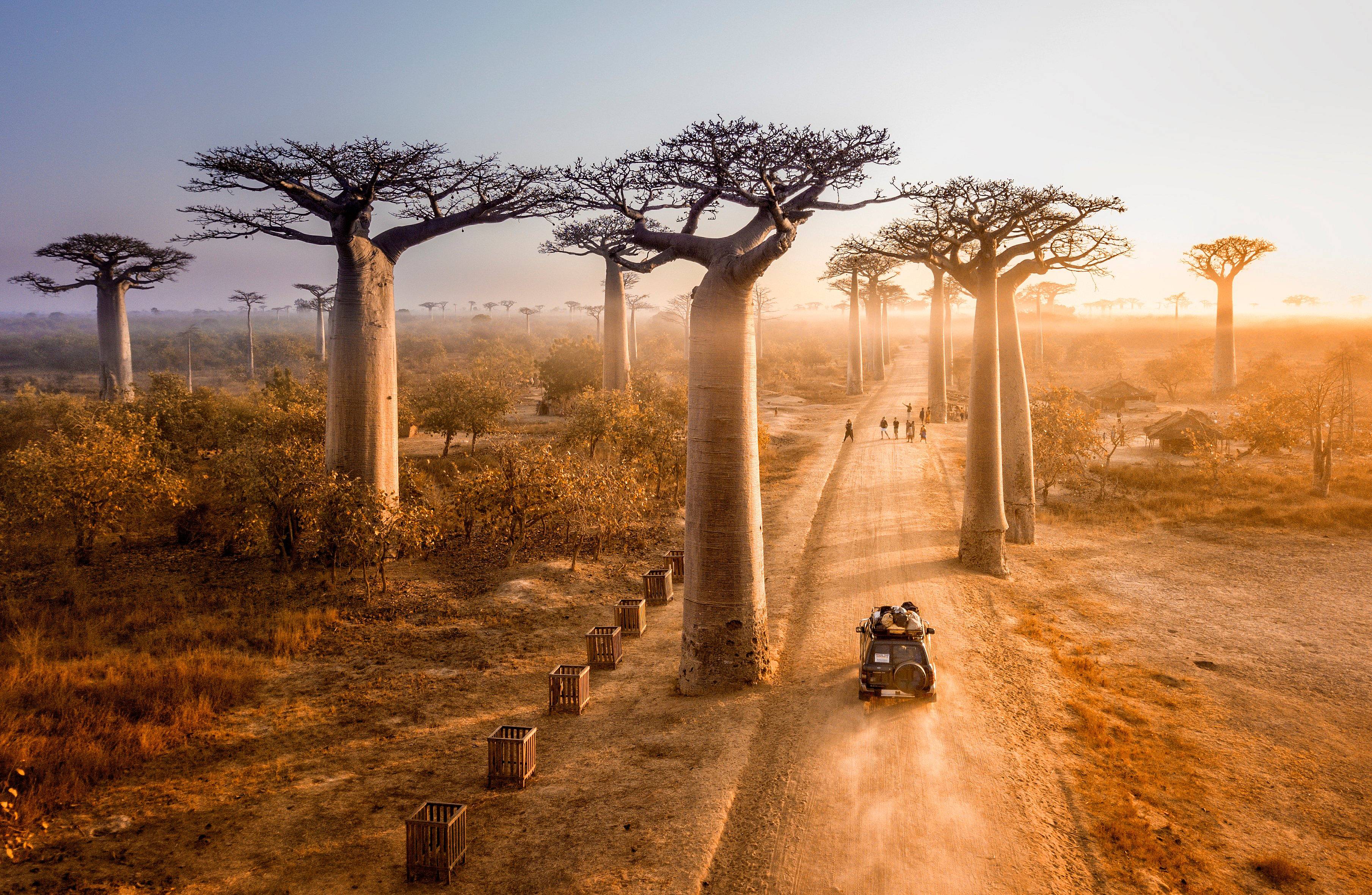 Del Oeste al Sur: Baobabs, Tsingy, Ifaty y Morondava