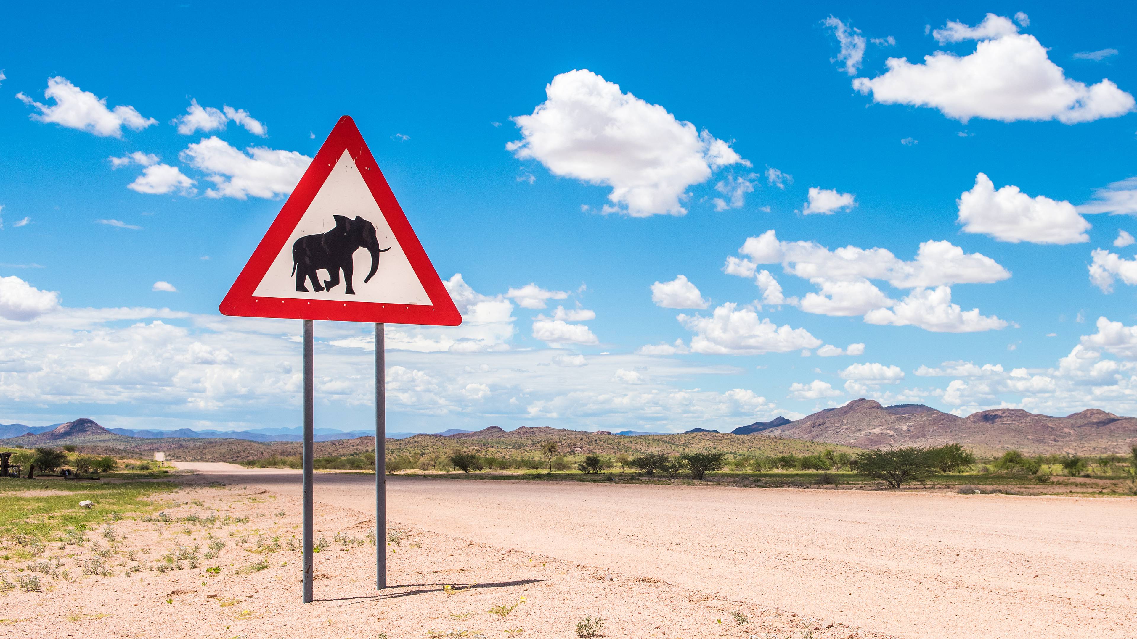 Namibia e Botswana in self drive