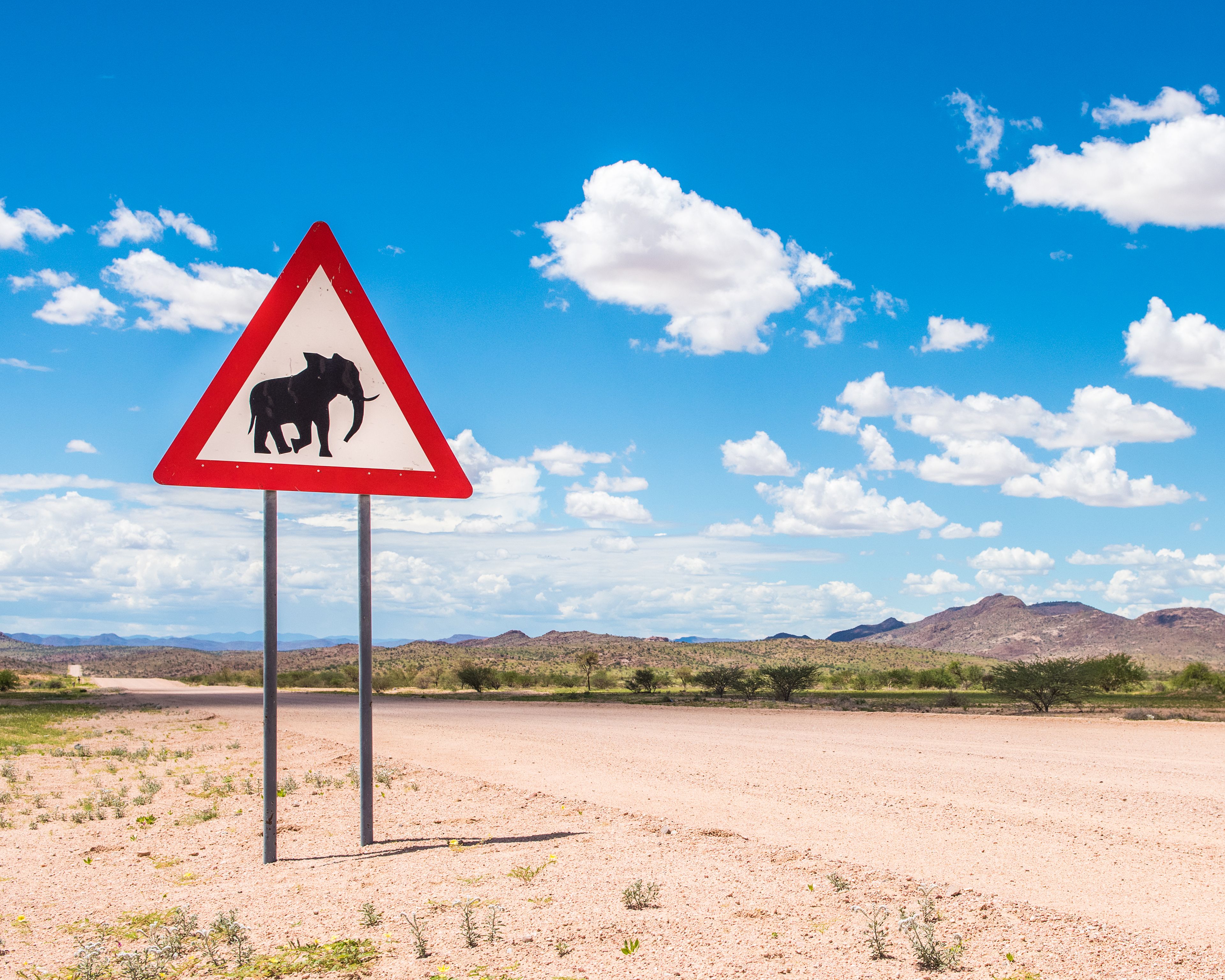 Namibia e Botswana in self drive