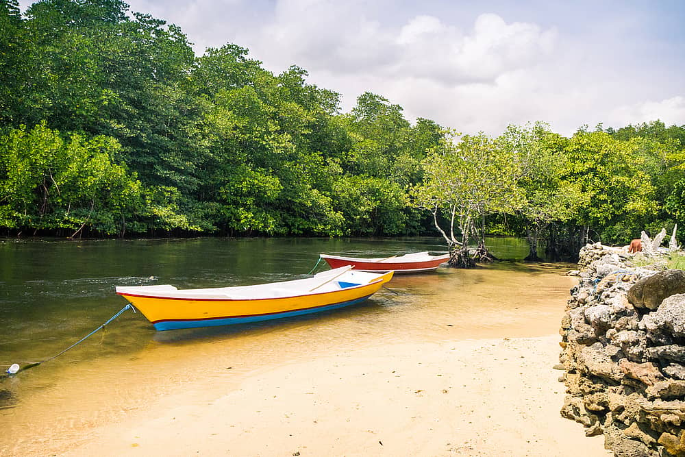 Tocht over het eiland en door de mangroven